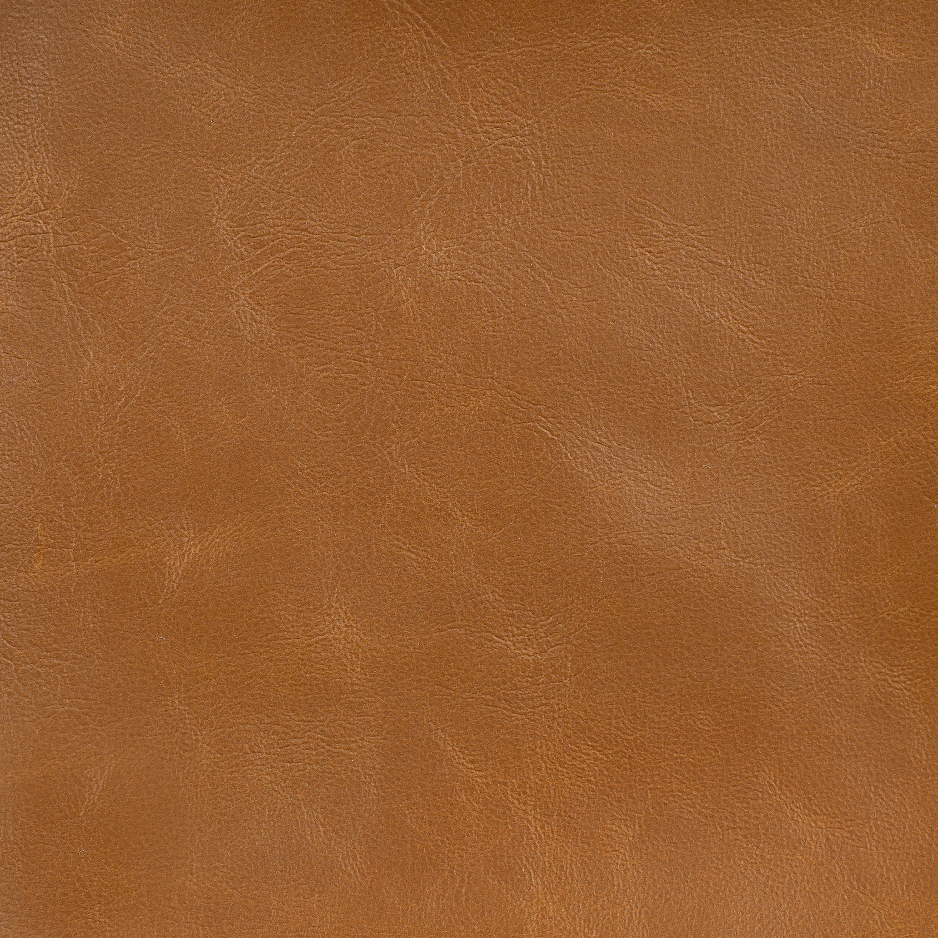 Vegan Leather