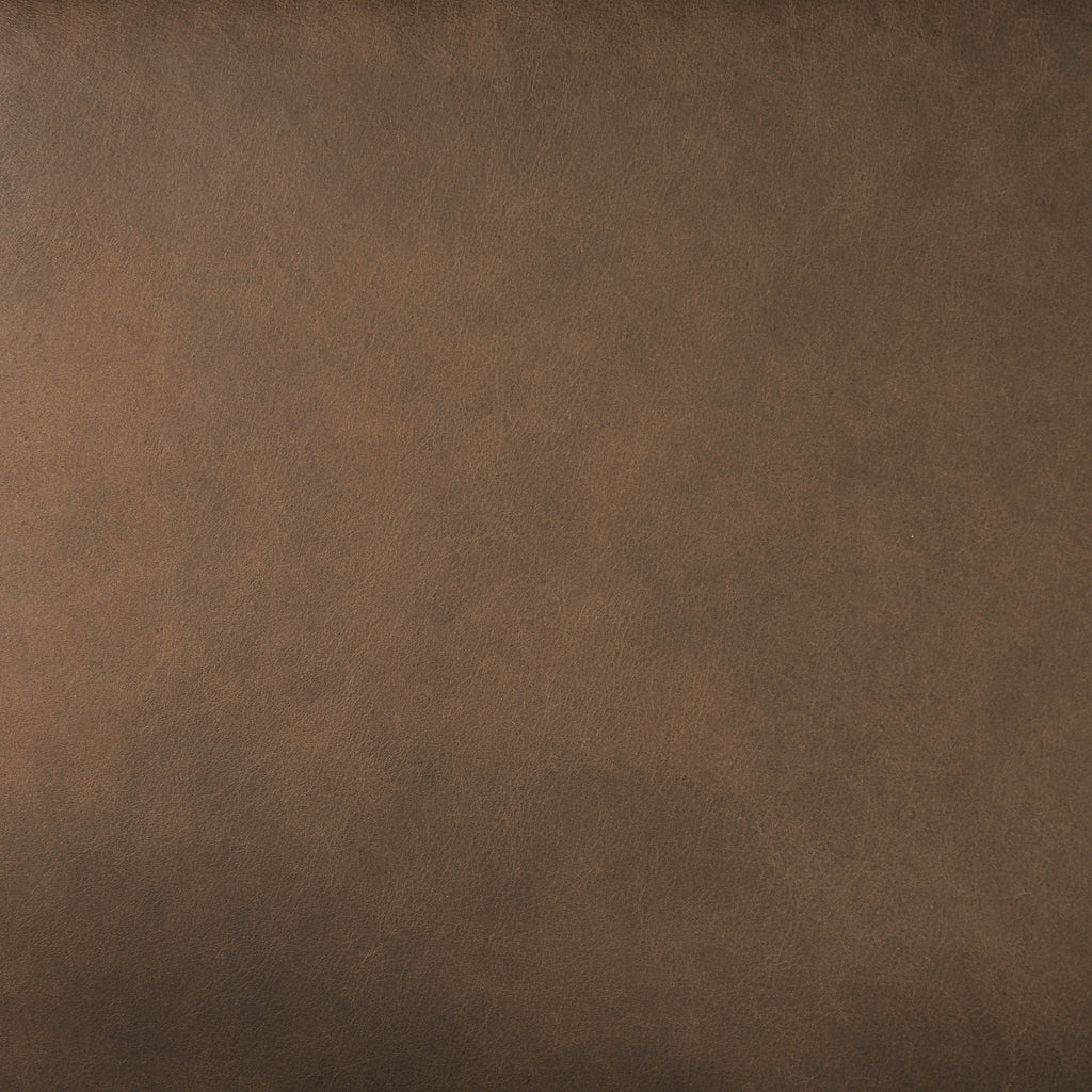 Italian Tanned Leather Swatches