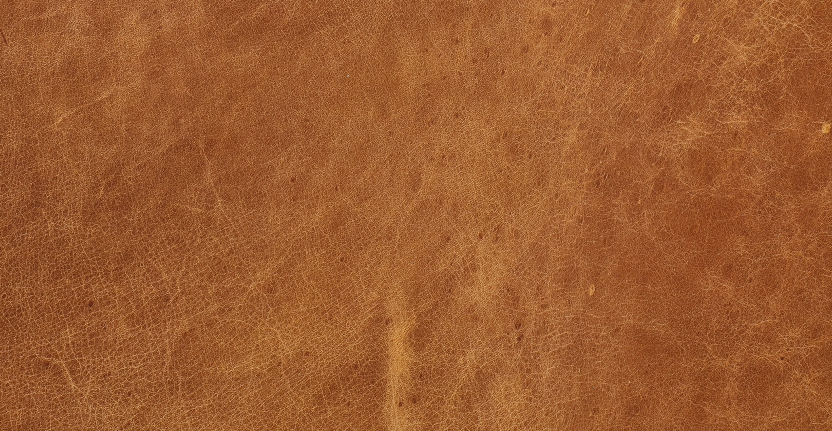 Sorrento Lounge Chair