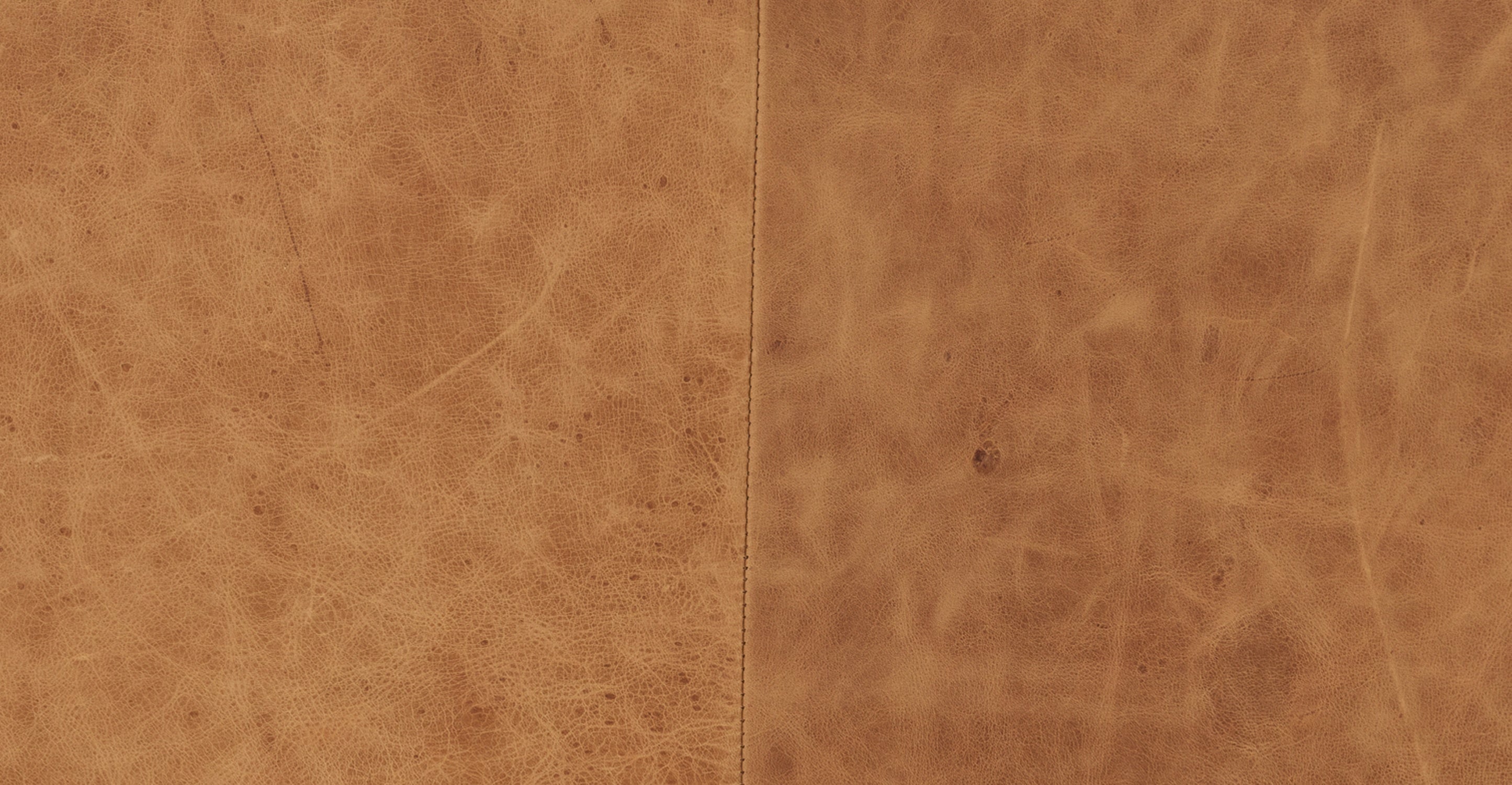 Napa Right-Facing Sectional Sofa