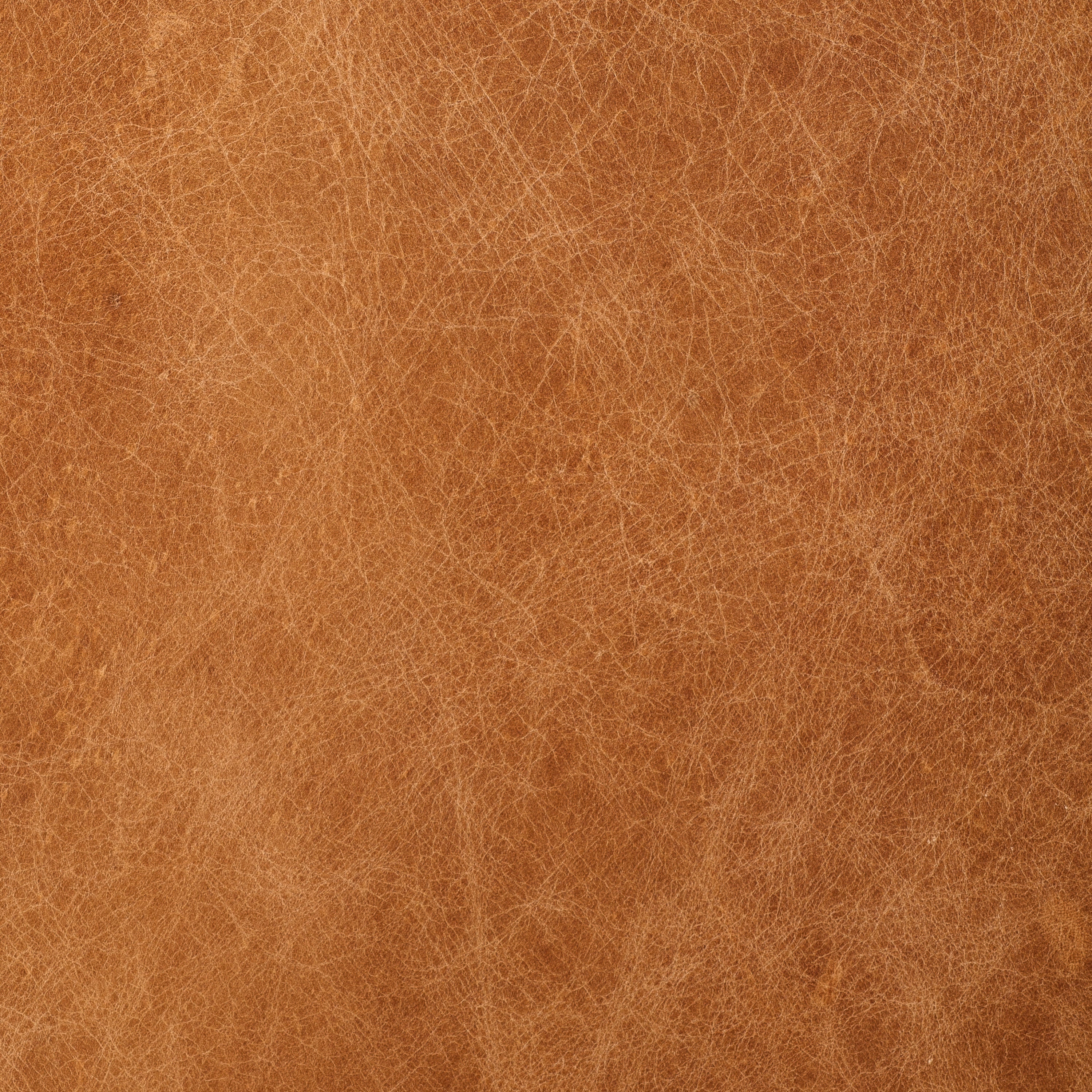 Italian Tanned Leather Swatches