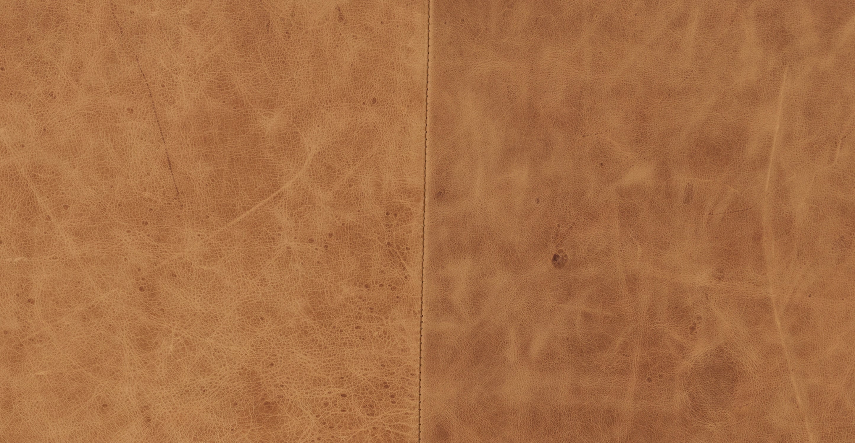 Napa Left-Facing Sectional Sofa