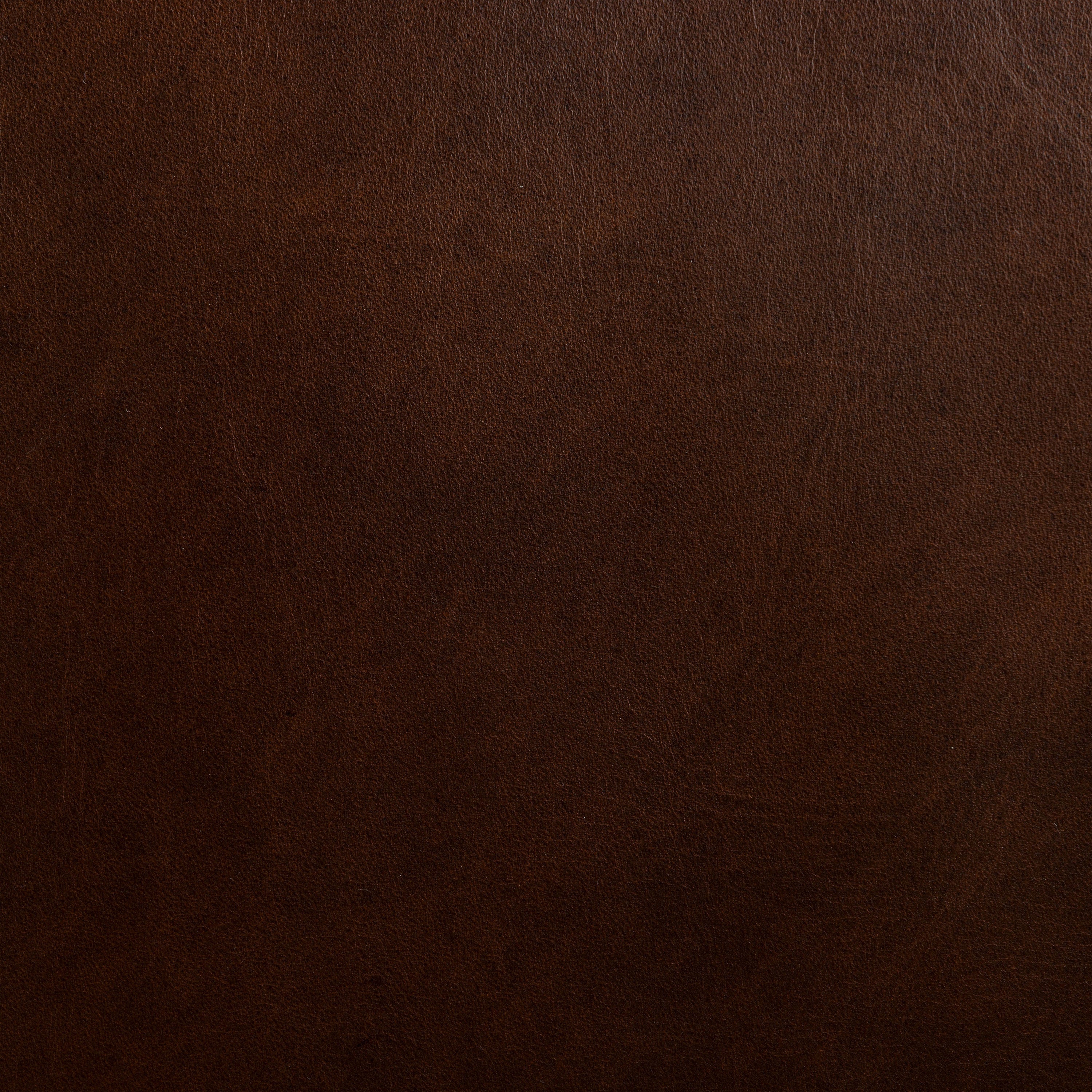 Italian Tanned Leather Swatches