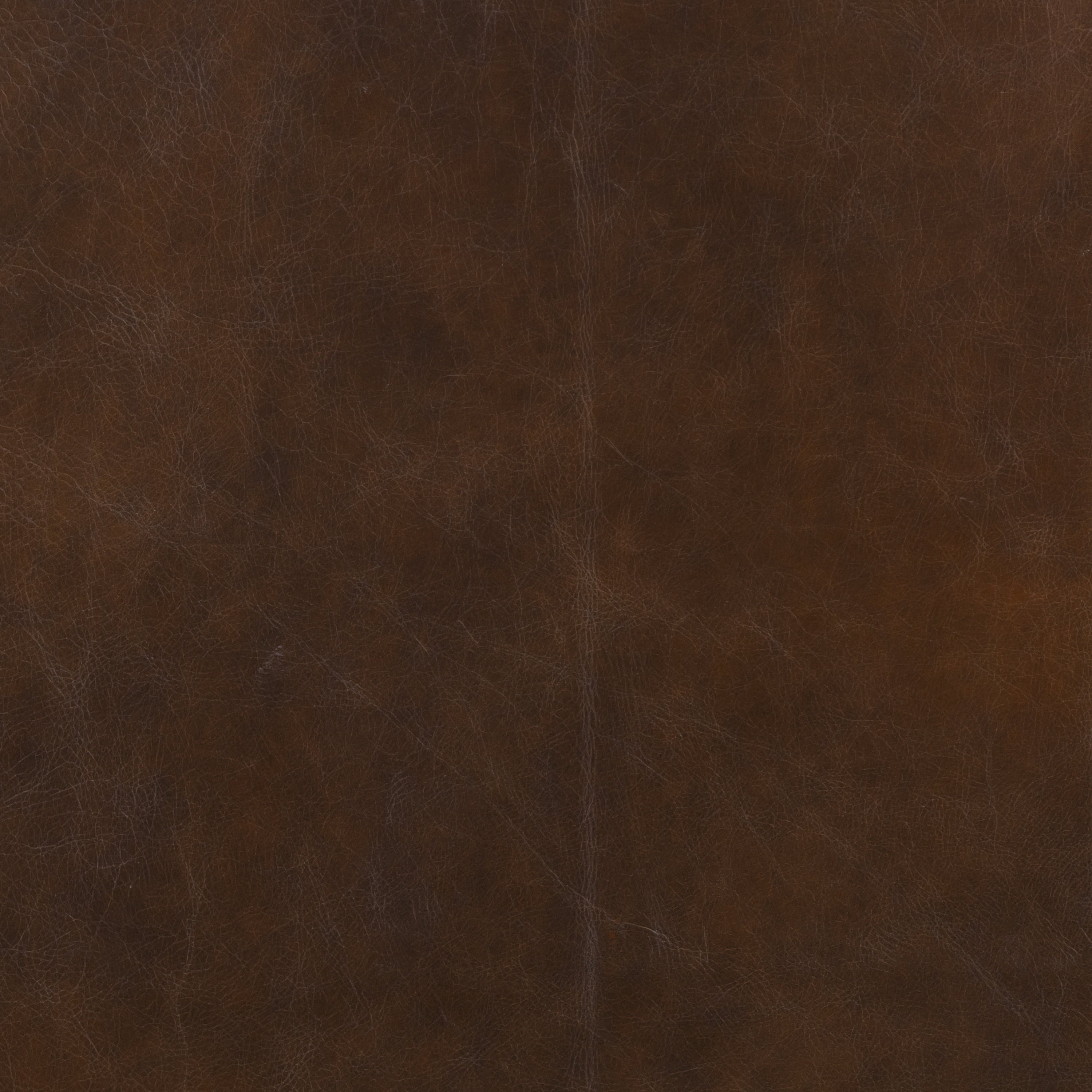 Italian Tanned Leather Swatches