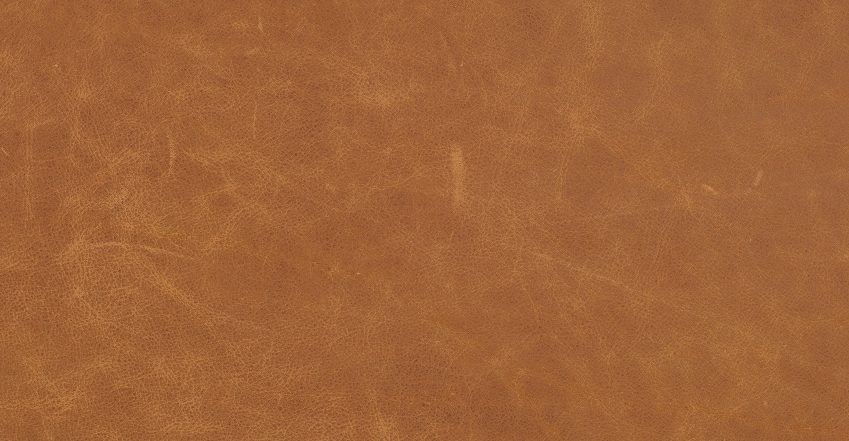 Truro Bed with Leather Cushions