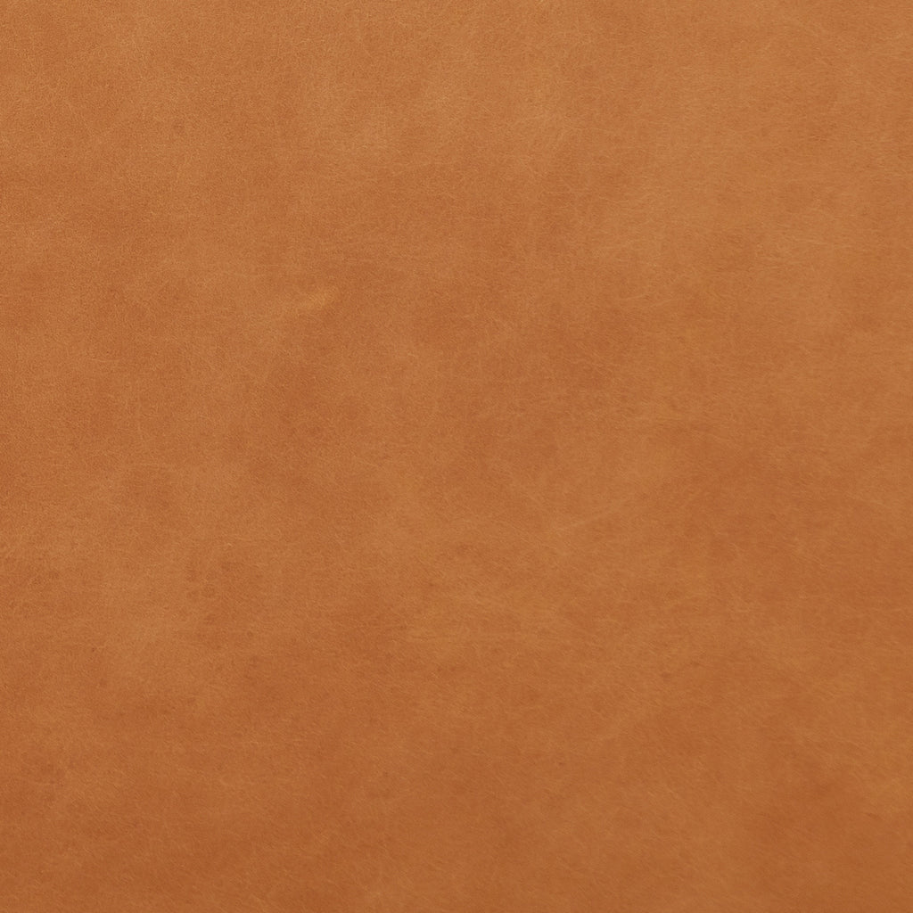 Italian Tanned Leather Swatches