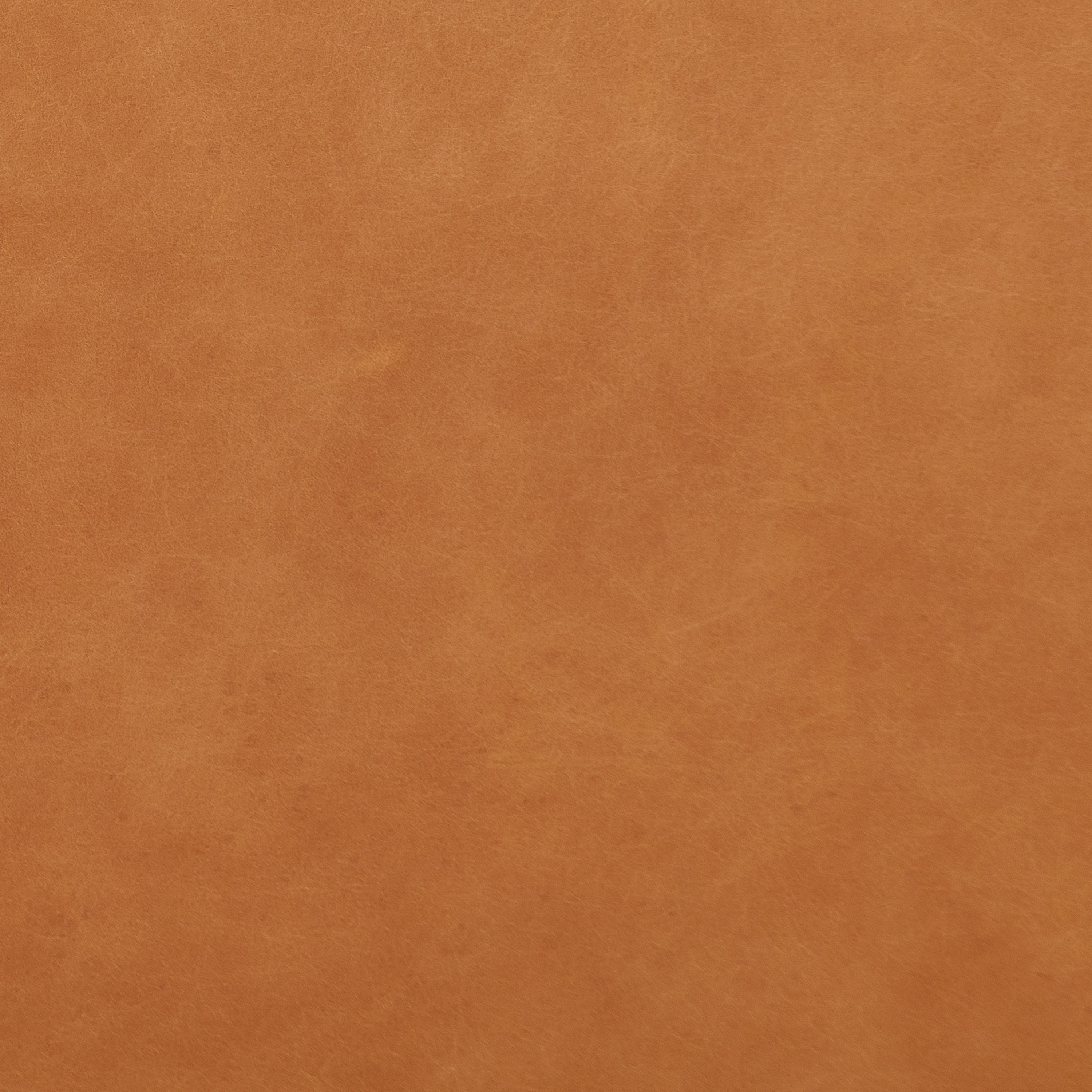 Italian Tanned Leather Swatches