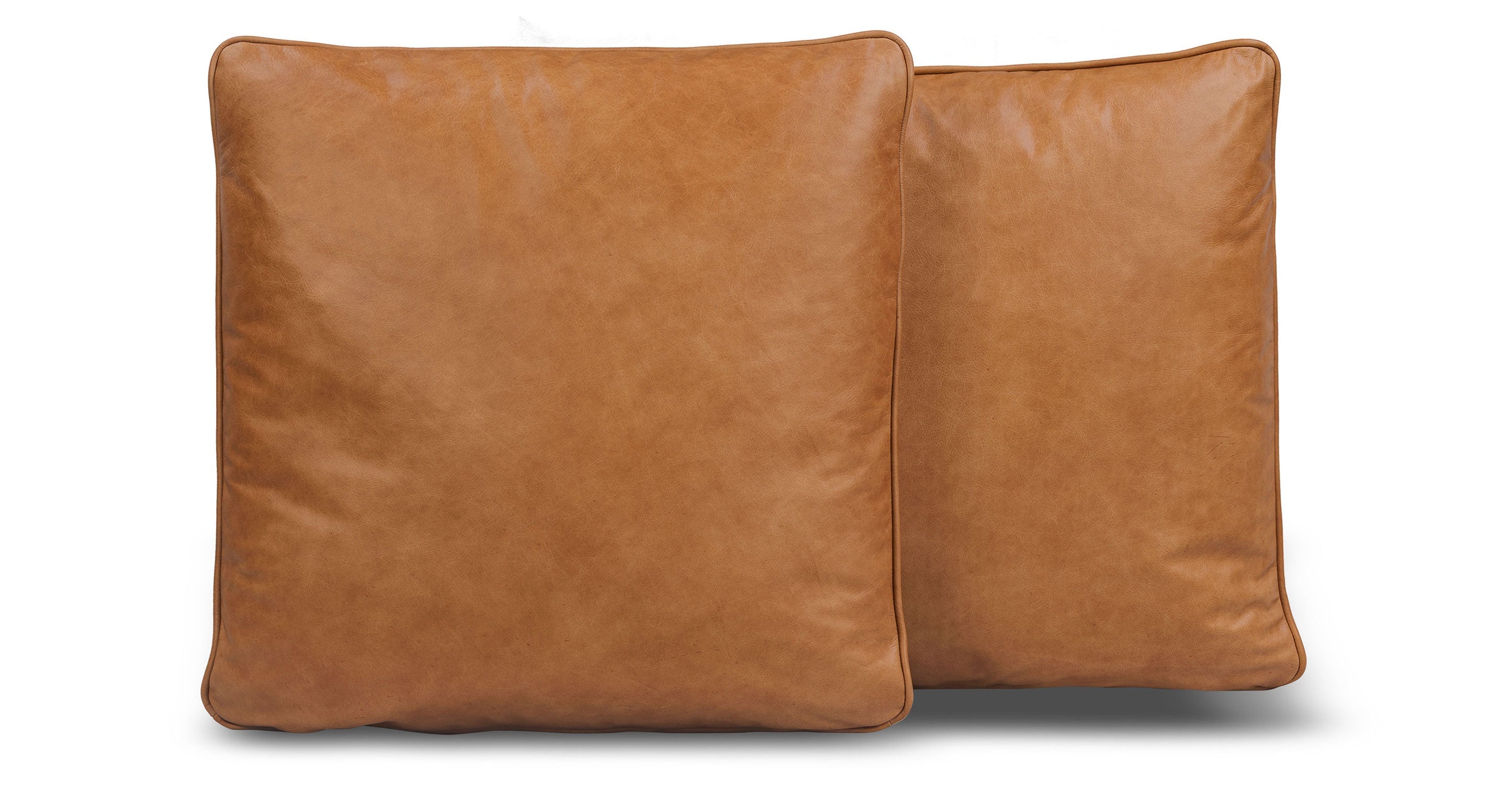 Dobla Throw Pillow