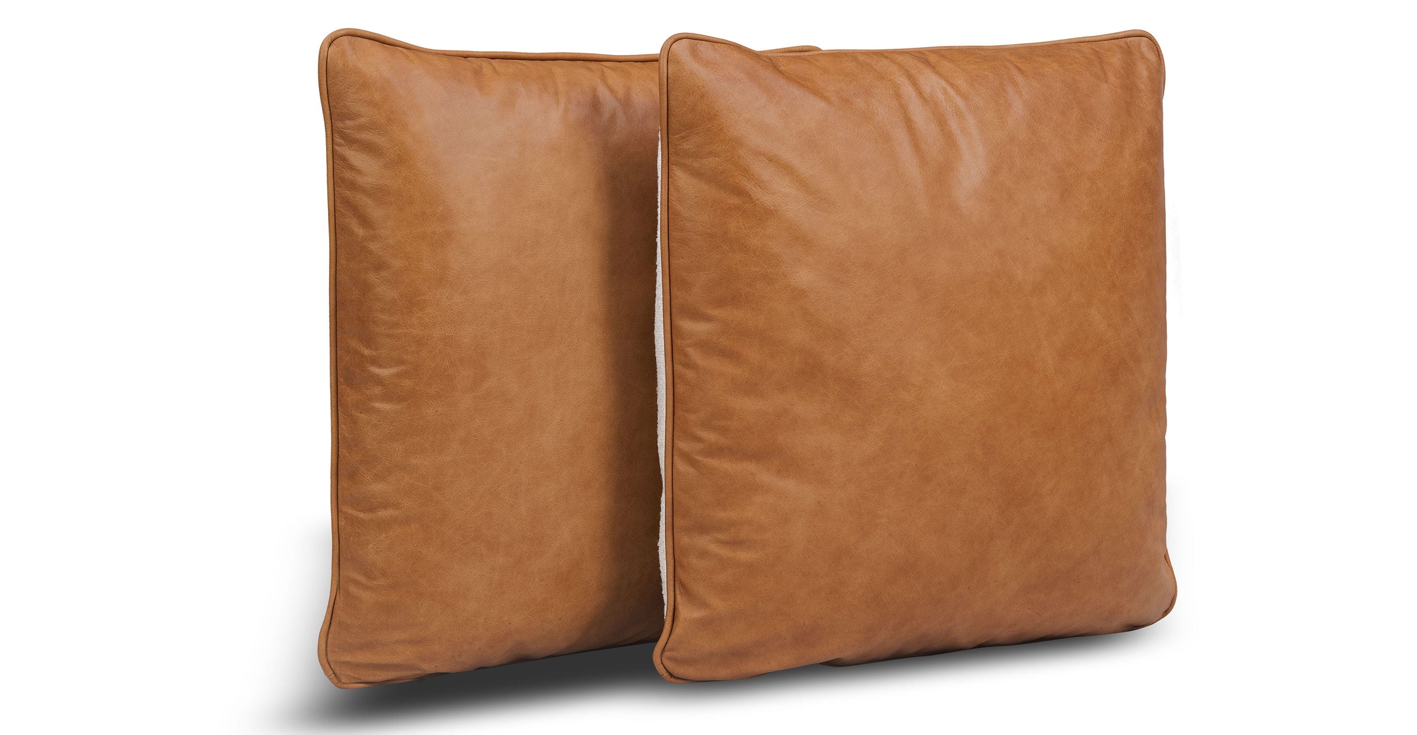Dobla Throw Pillow