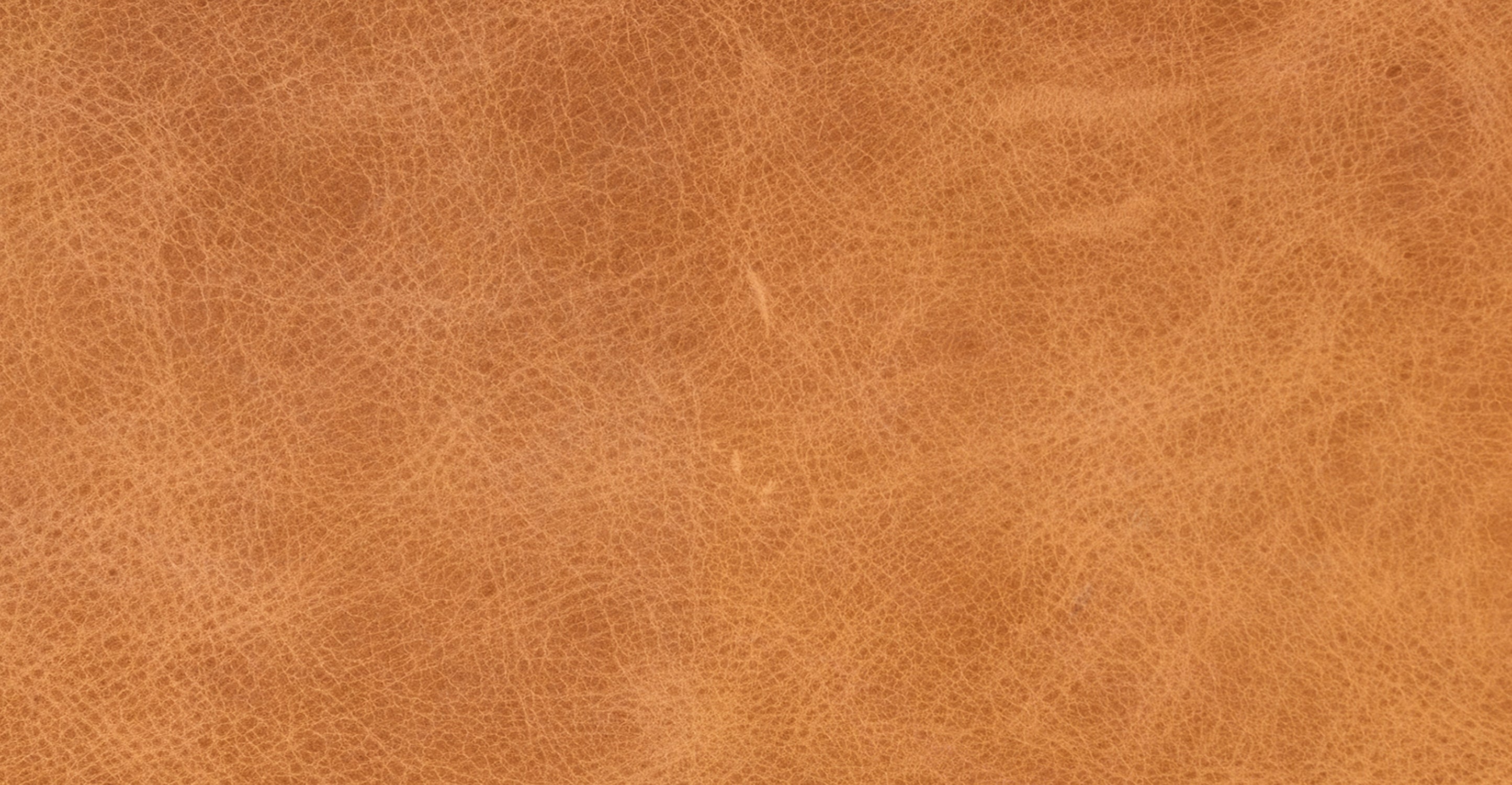 Napa Leather Bolster Pillow Set