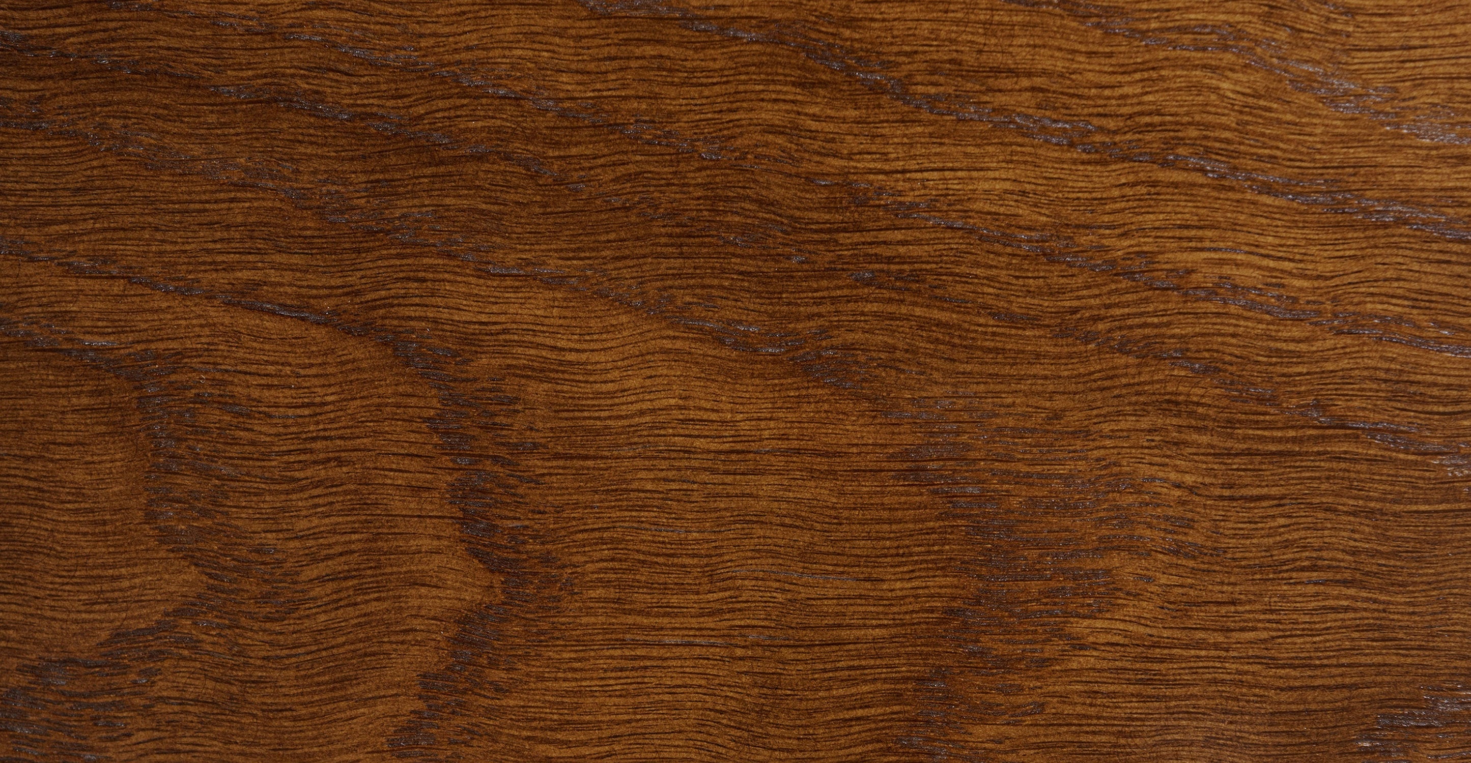 Finnley Dining Chair with Removable / Washable Covers