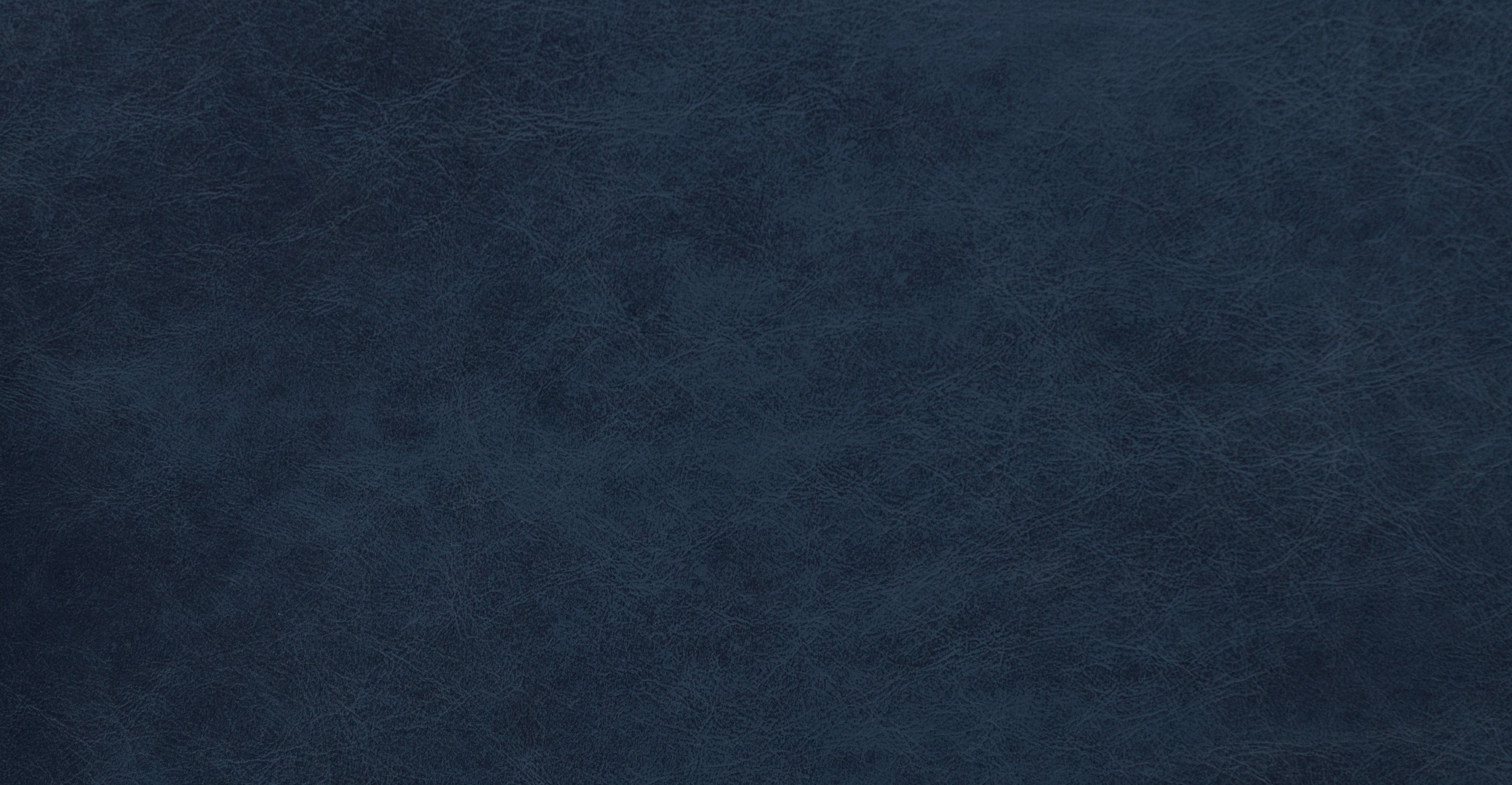 Verity Leather Lounge Chair