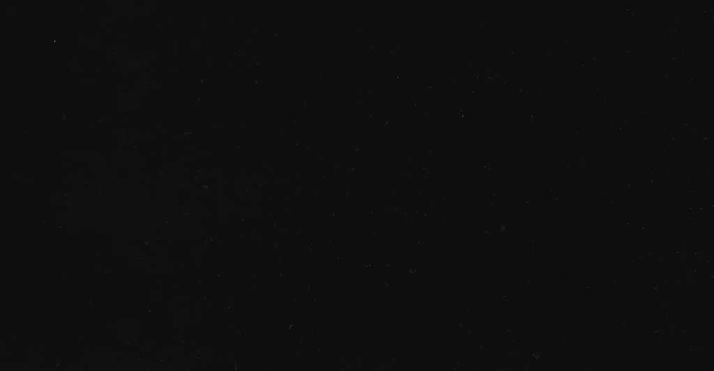 Wood Repair + Restore Kit