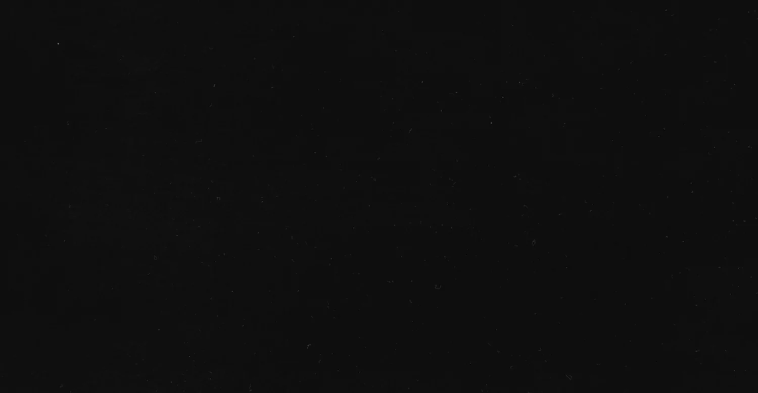 Wood Repair + Restore Kit