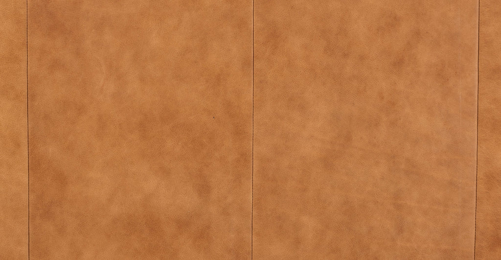 Sorrento Leather Pull-Out Convertible Sleeper Sofa