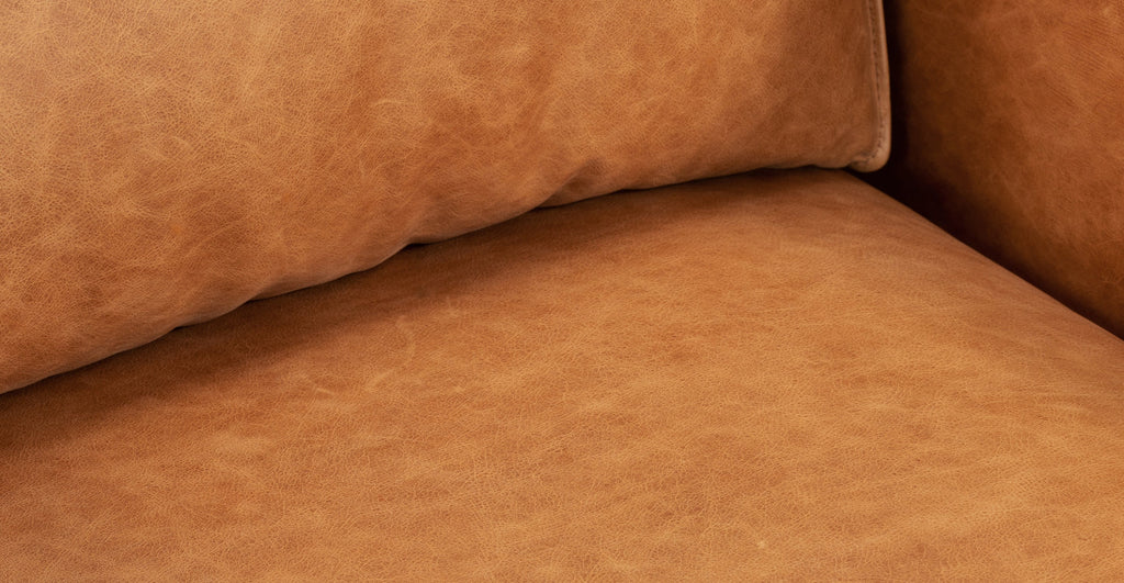 Mateo Leather Lounge Chair