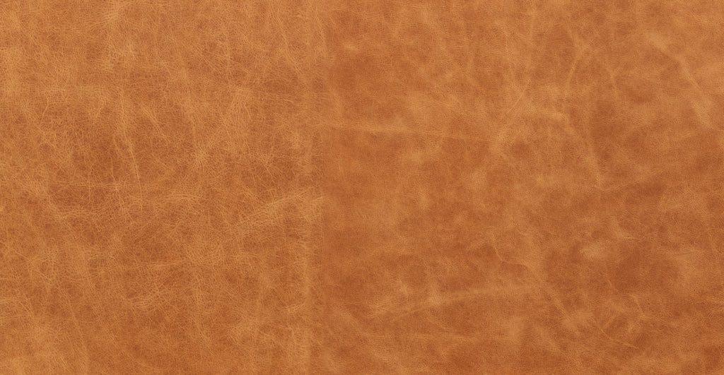 Mateo Leather Lounge Chair