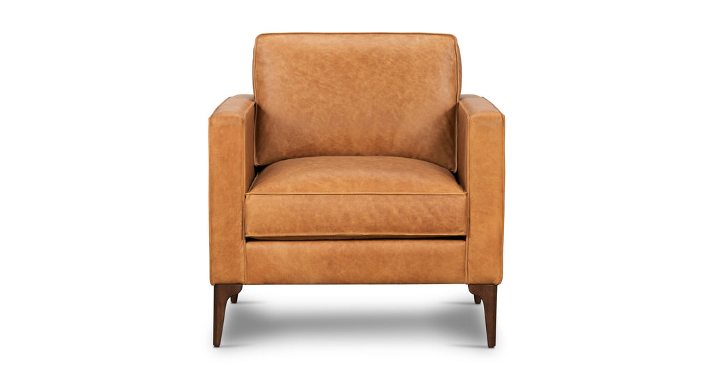 Mateo Leather Lounge Chair