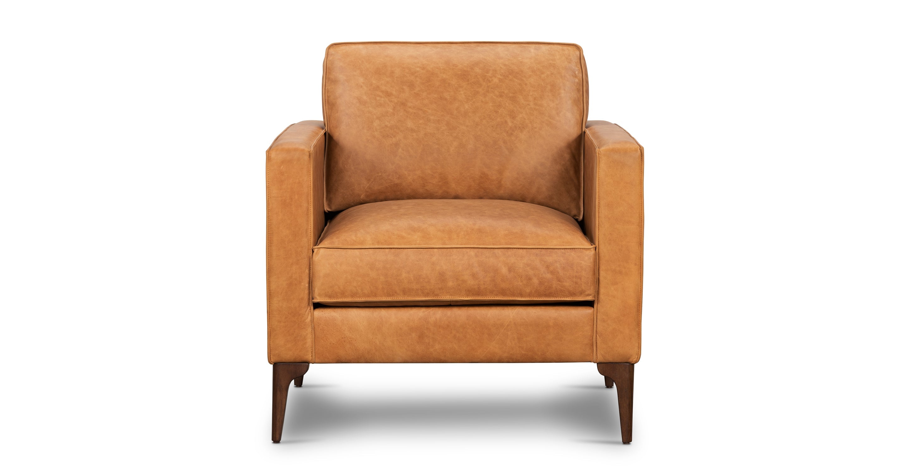 Mateo Leather Lounge Chair