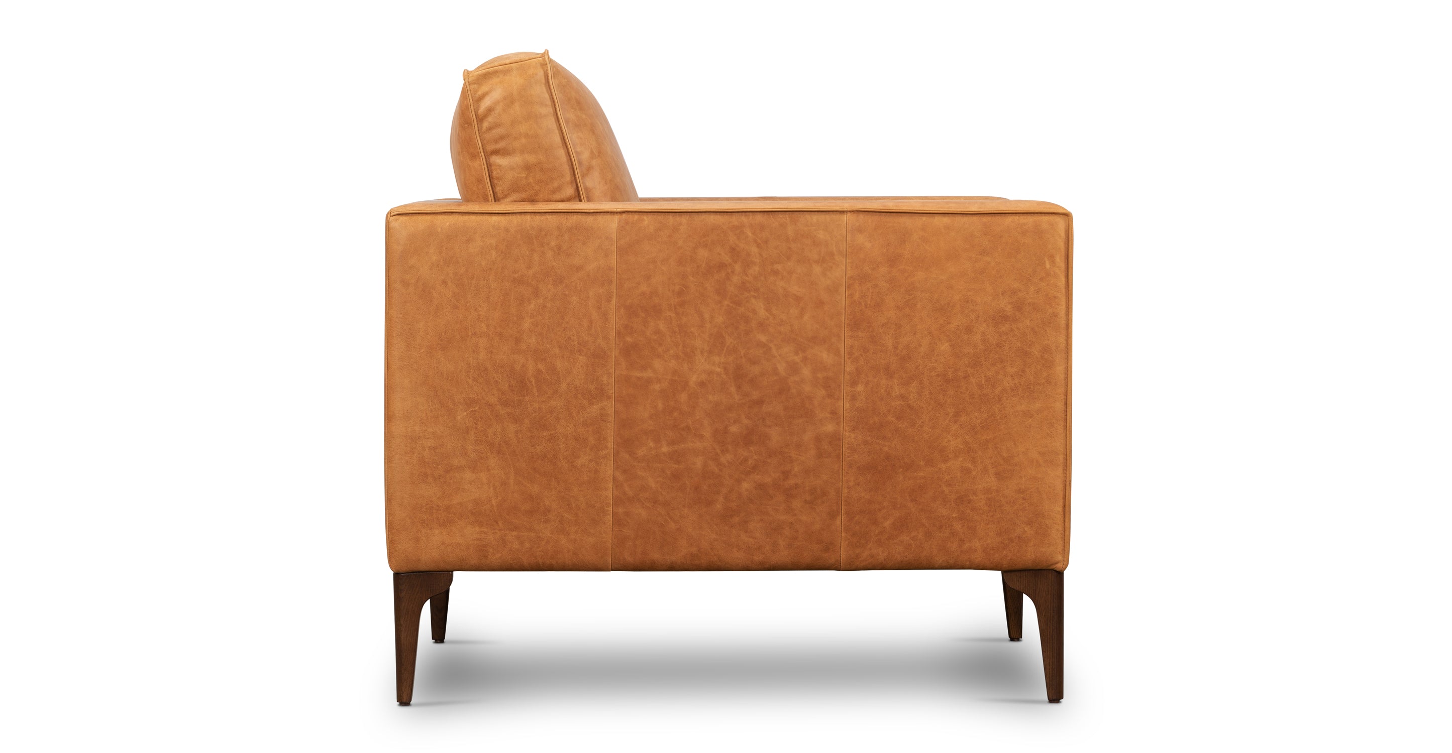 Mateo Leather Lounge Chair