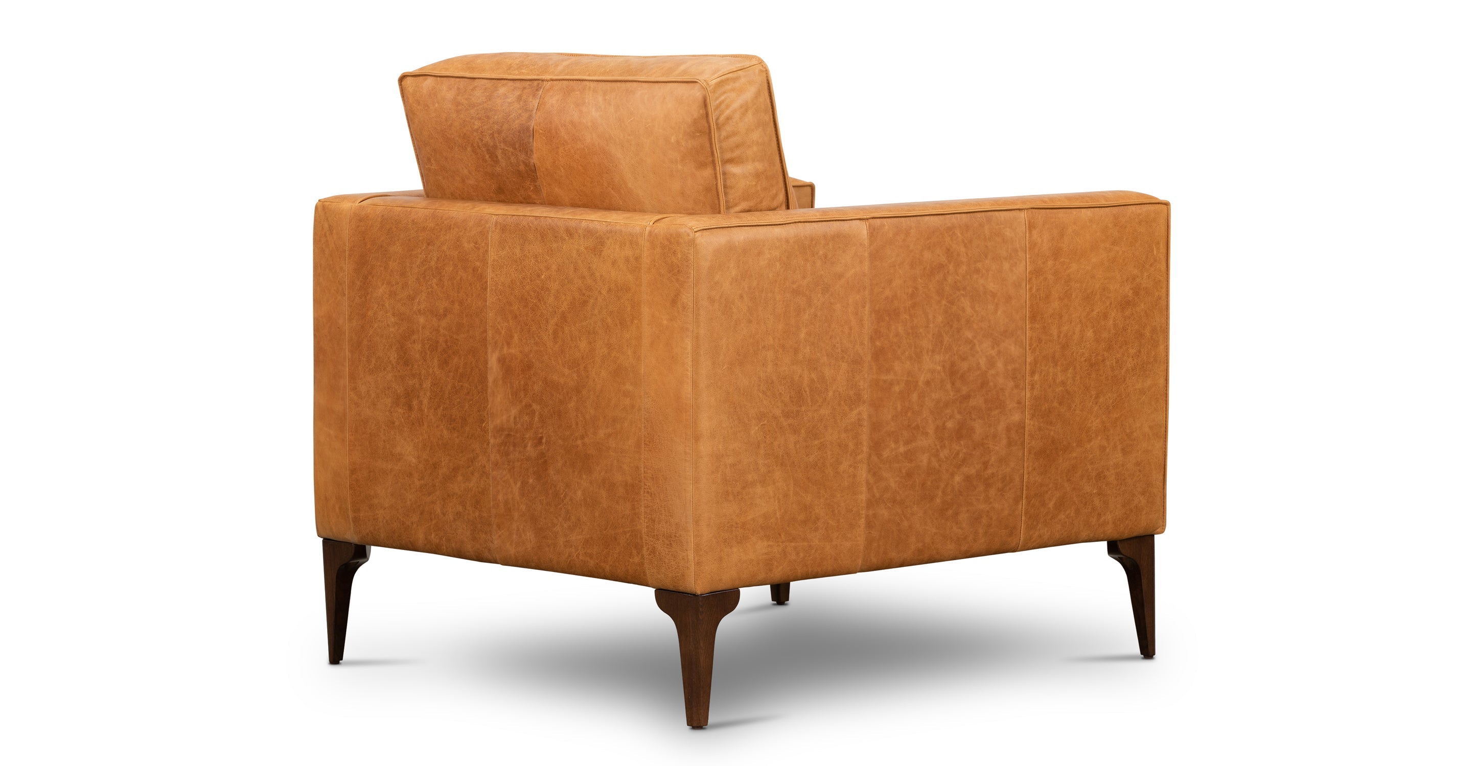 Mateo Leather Lounge Chair