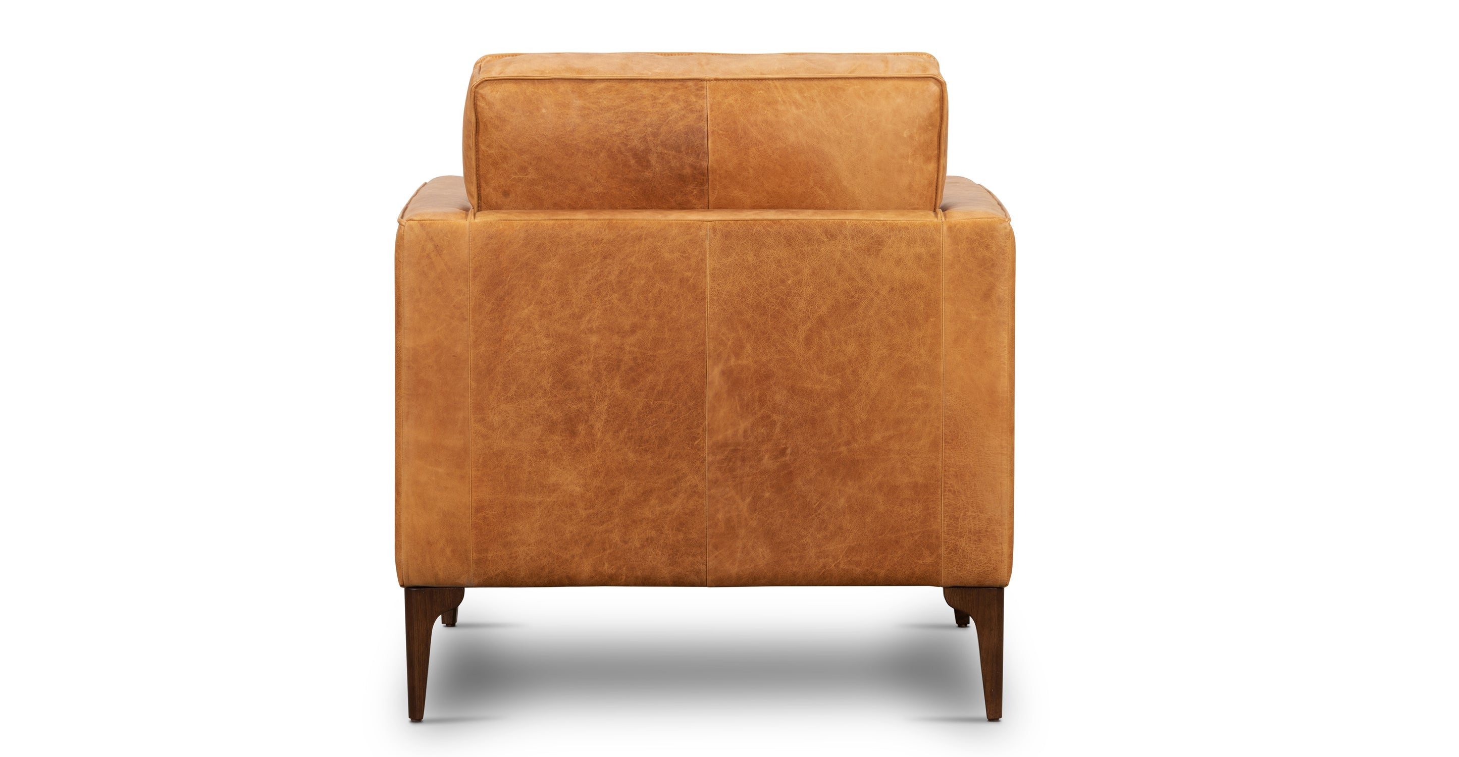 Mateo Leather Lounge Chair