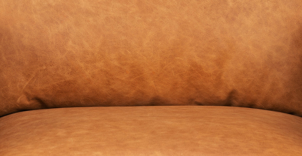 Mateo Leather Lounge Chair