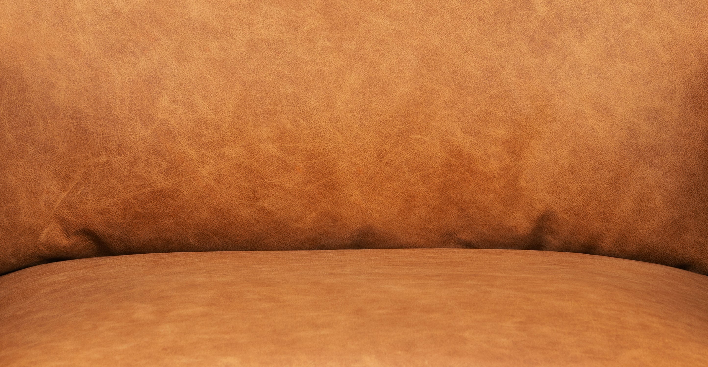 Mateo Leather Lounge Chair