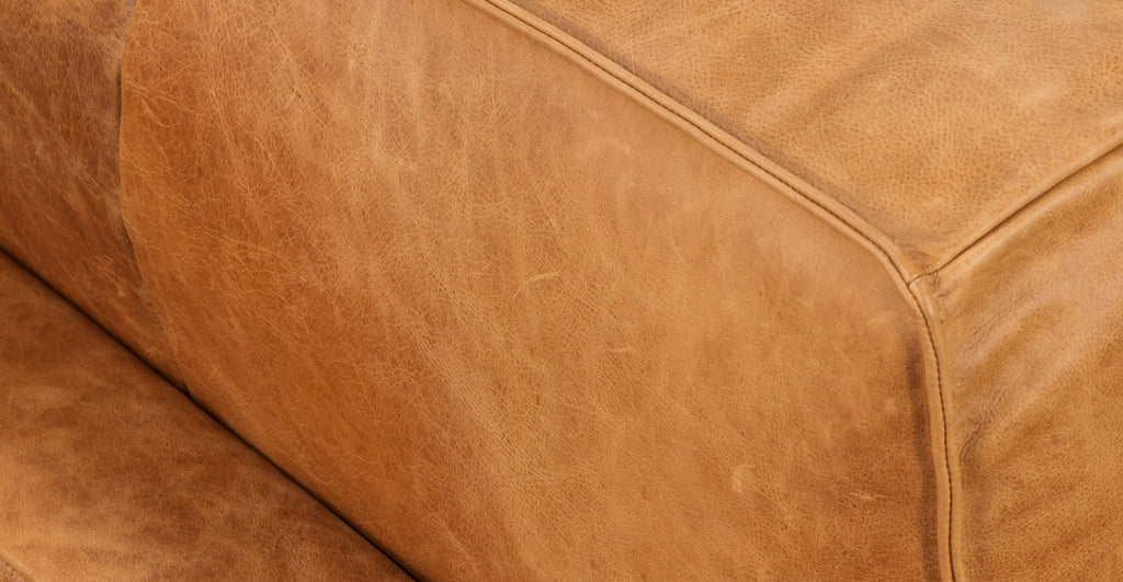 Mateo Leather Lounge Chair