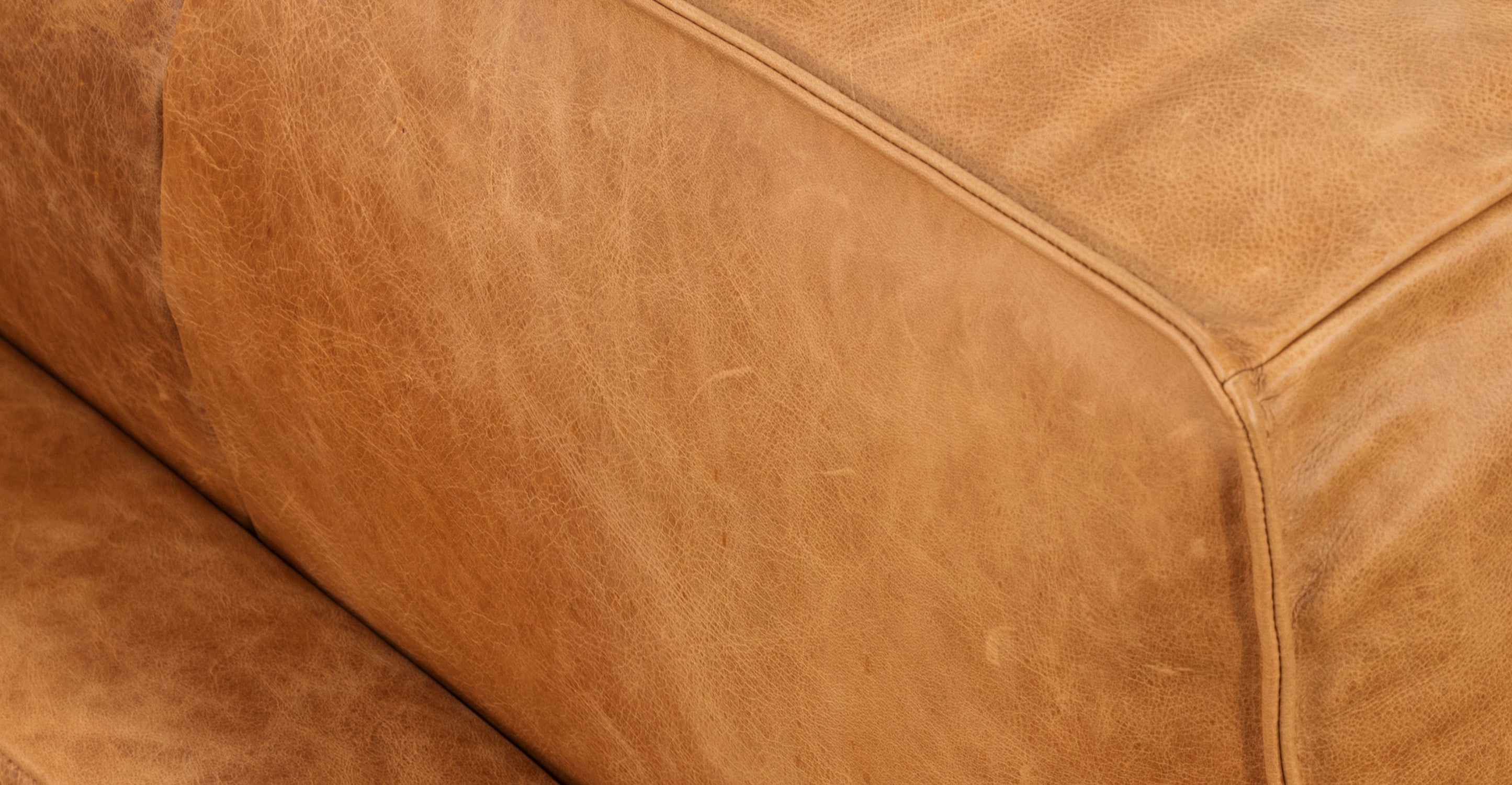 Mateo Leather Lounge Chair