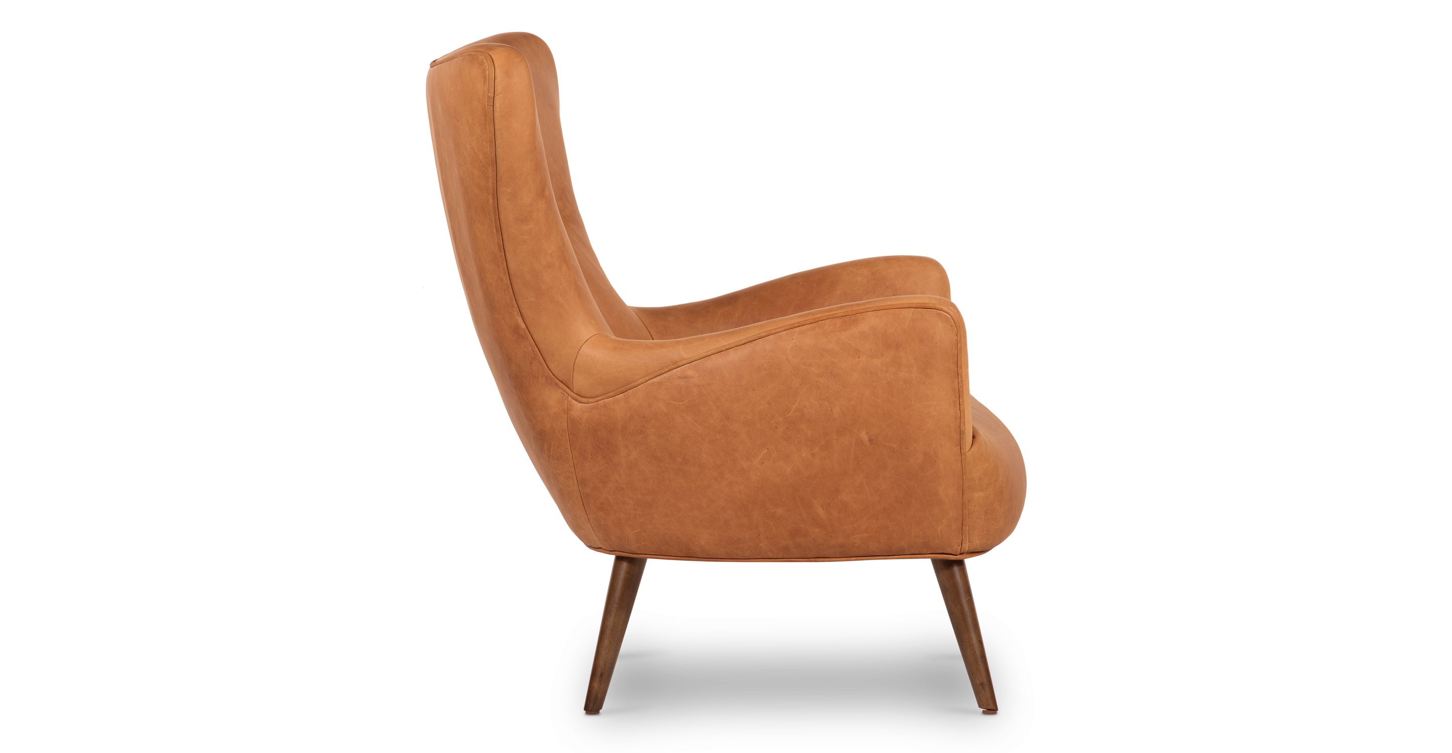Aida Lounge Chair