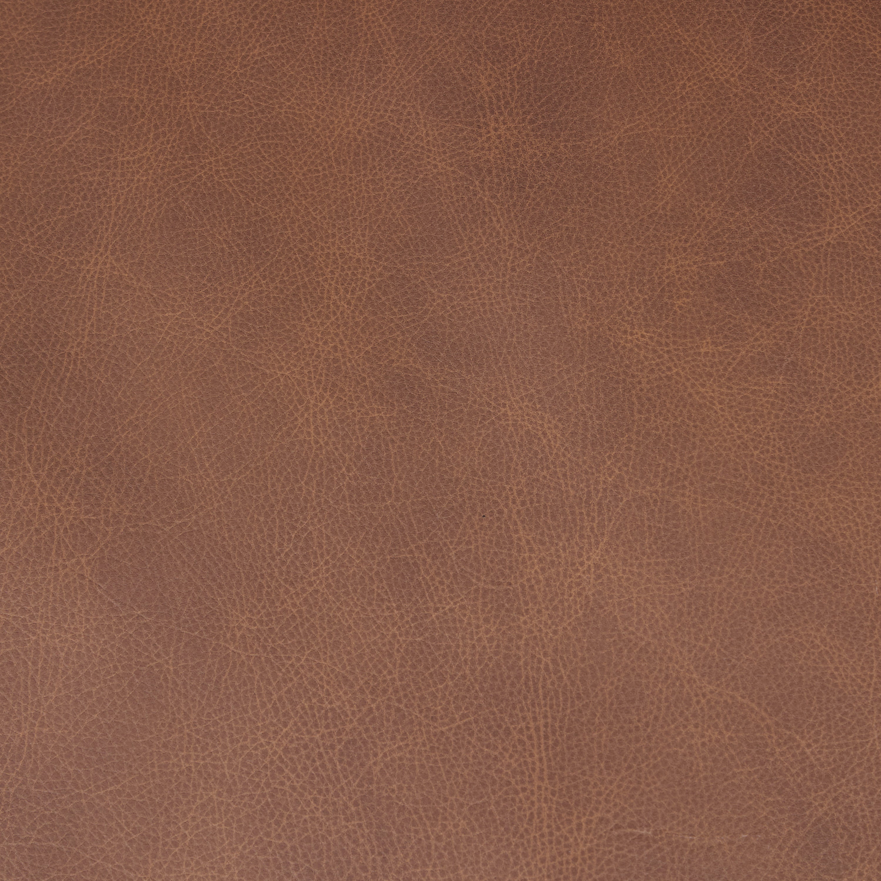Italian Tanned Leather Swatches
