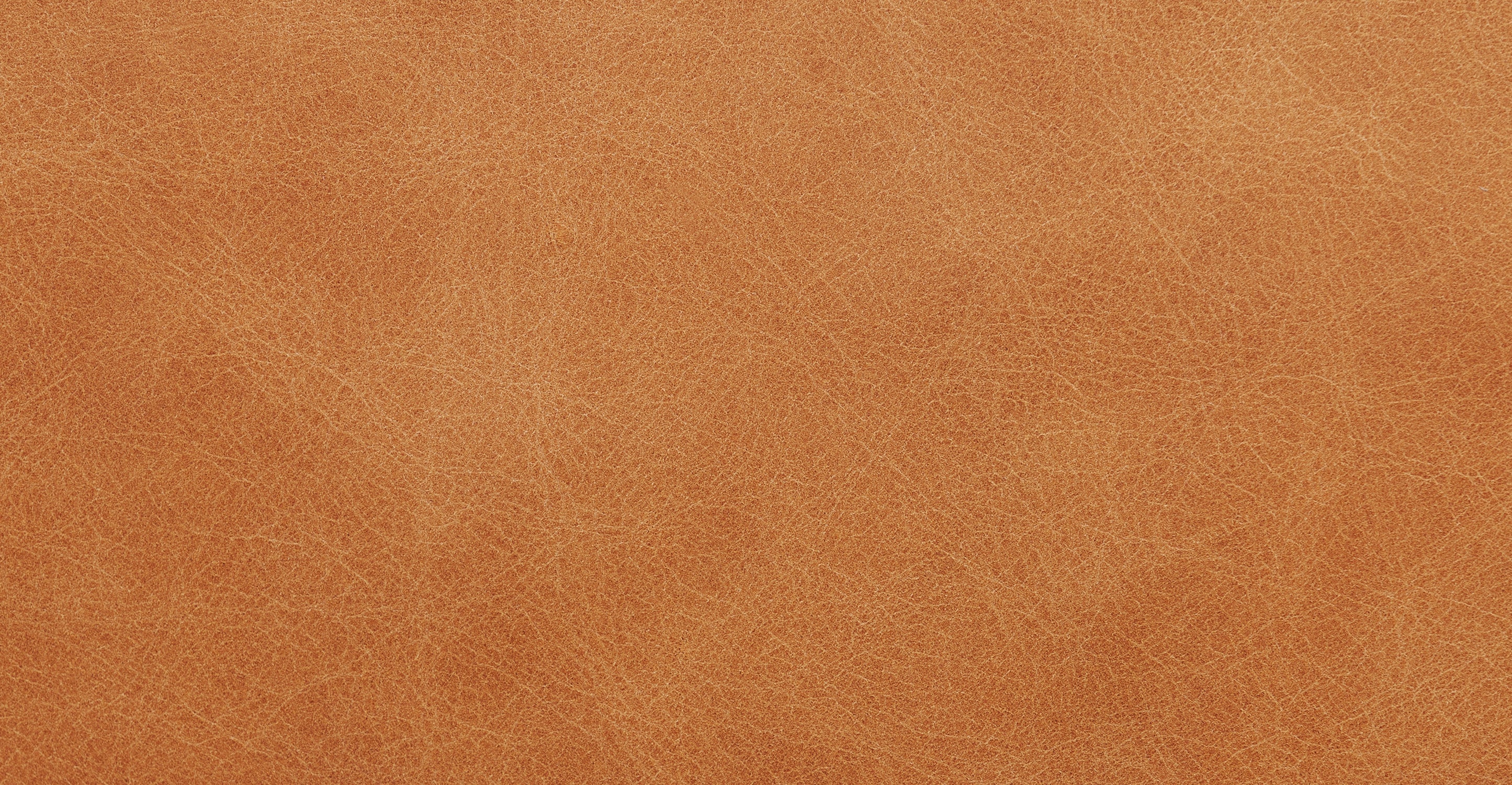 Harper 113.5 Right-facing Pull-Out Sleeper Sectional