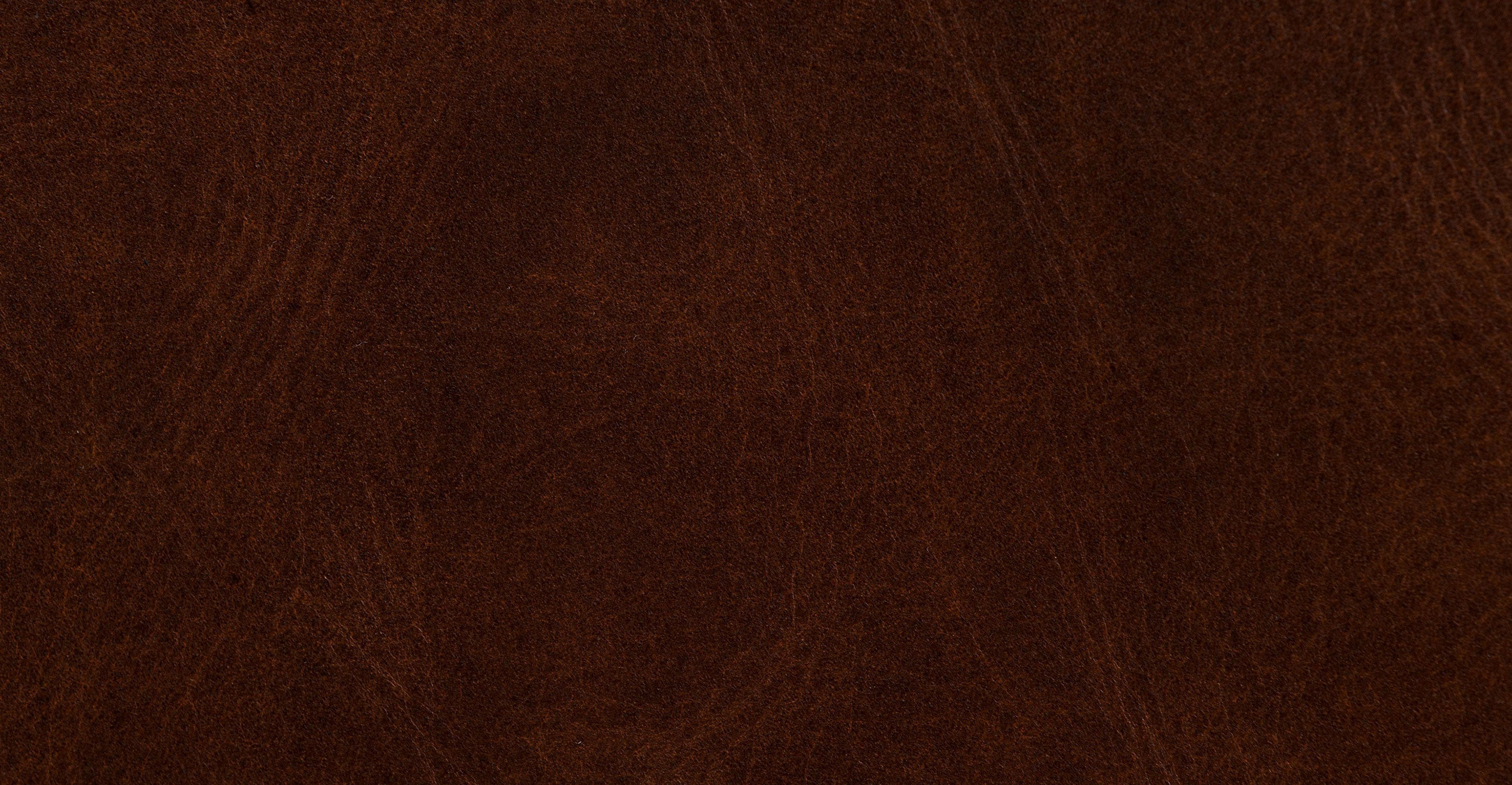 Harper 113.5 Left-facing Pull-Out Sleeper Sectional