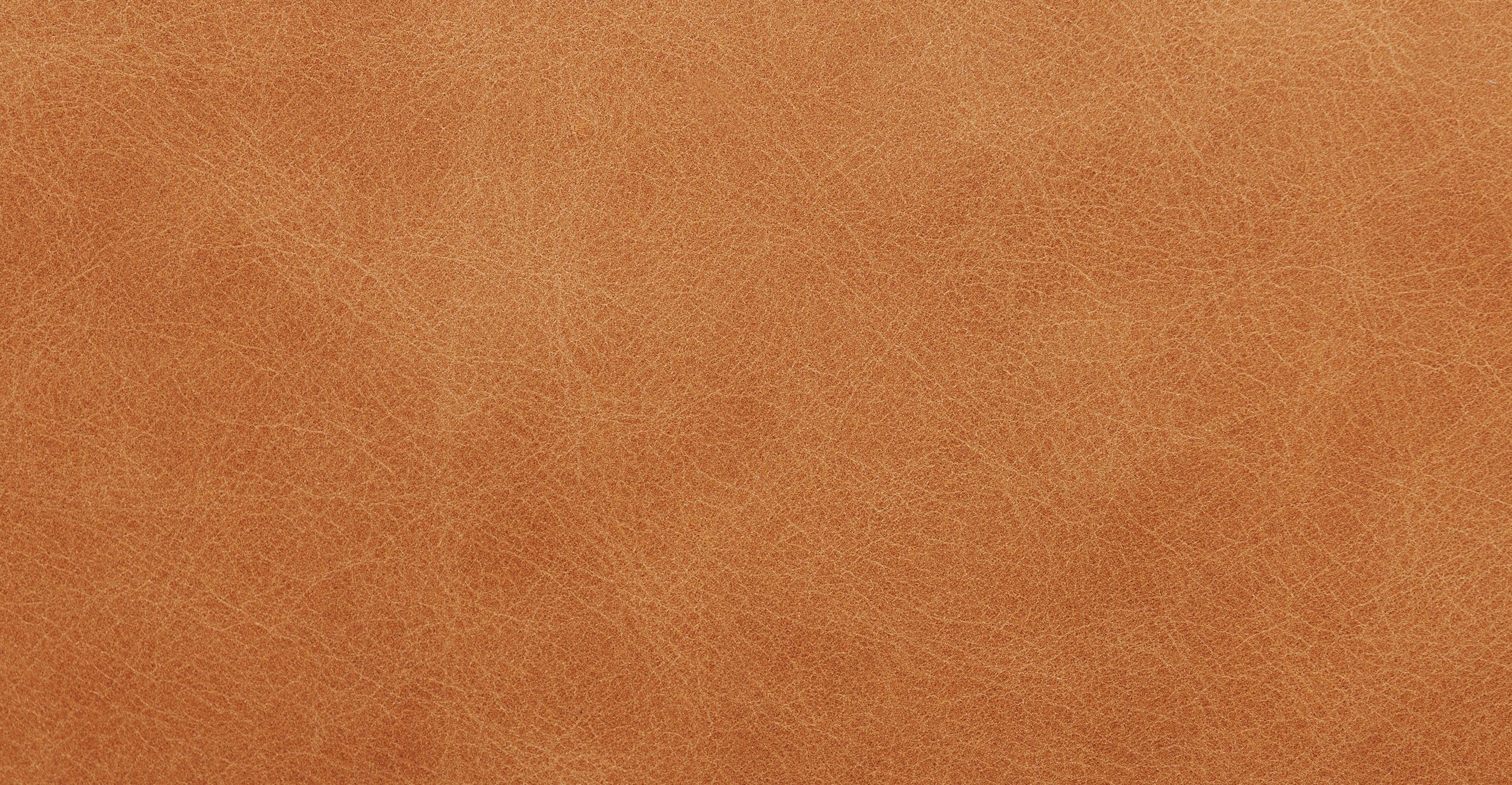 Harper 113.5 Left-facing Pull-Out Sleeper Sectional