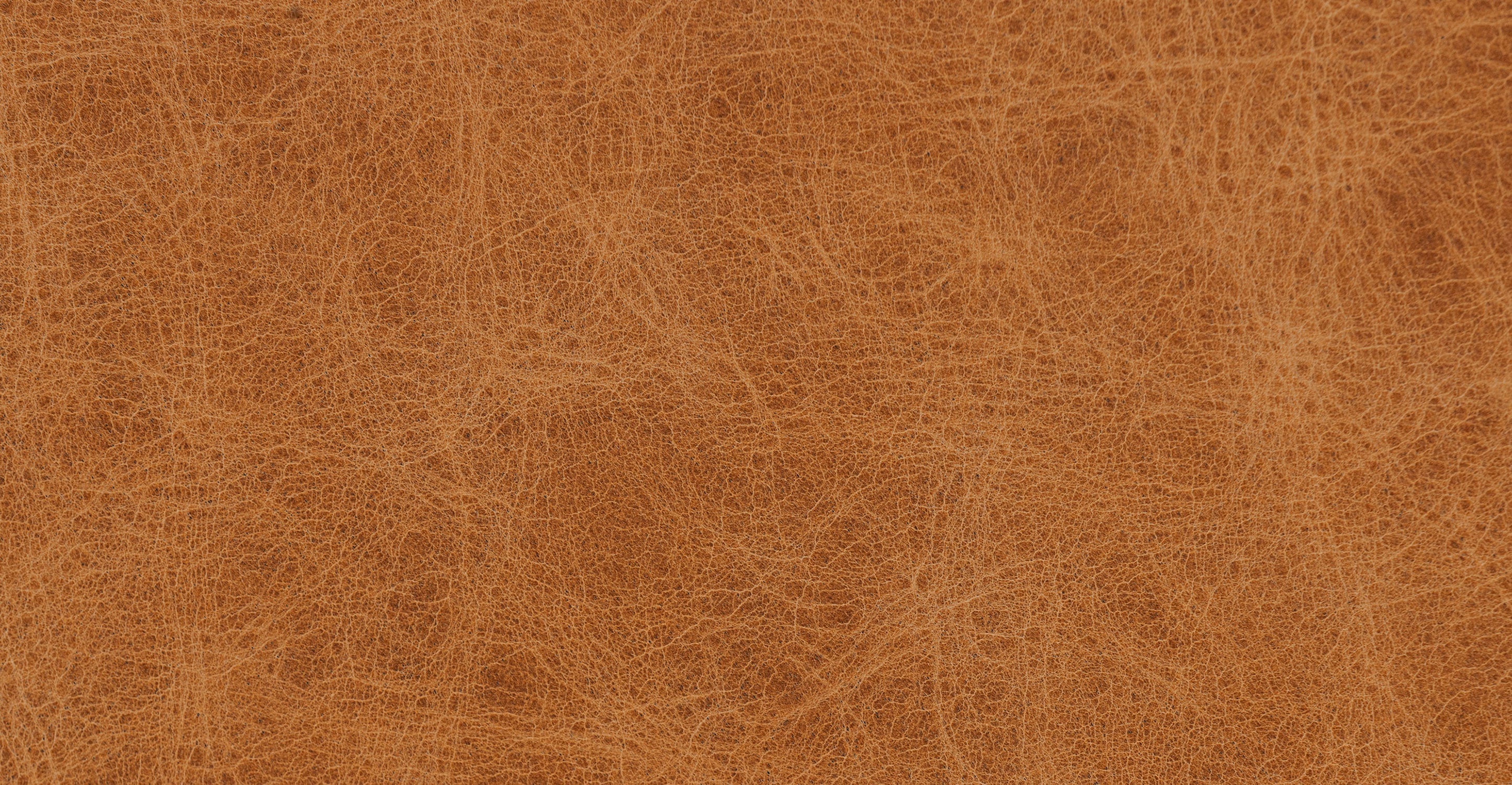 Zyon 115 Corner Sectional