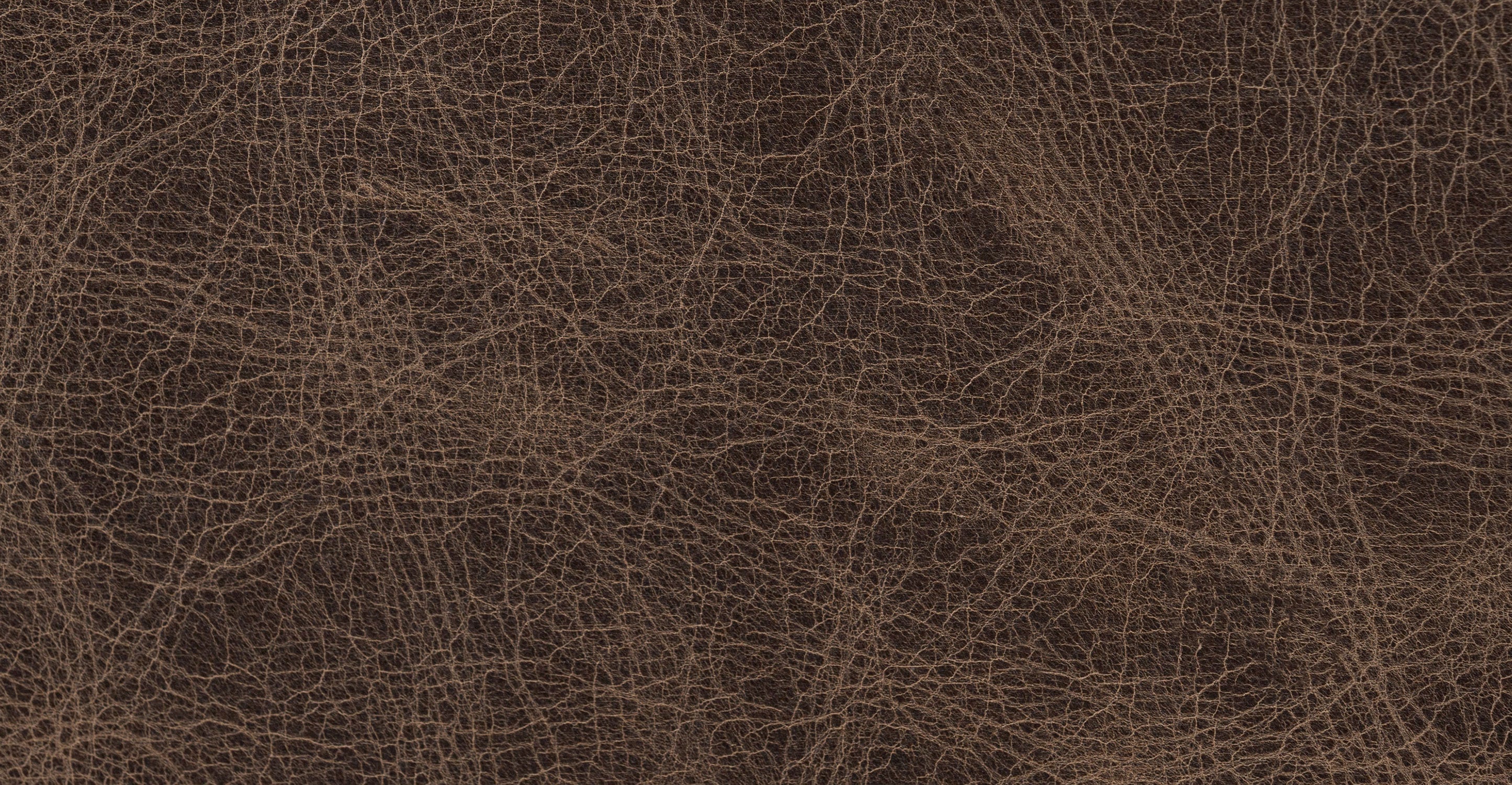 Essex 86 Leather Pull-Out Convertible Sleeper Sofa