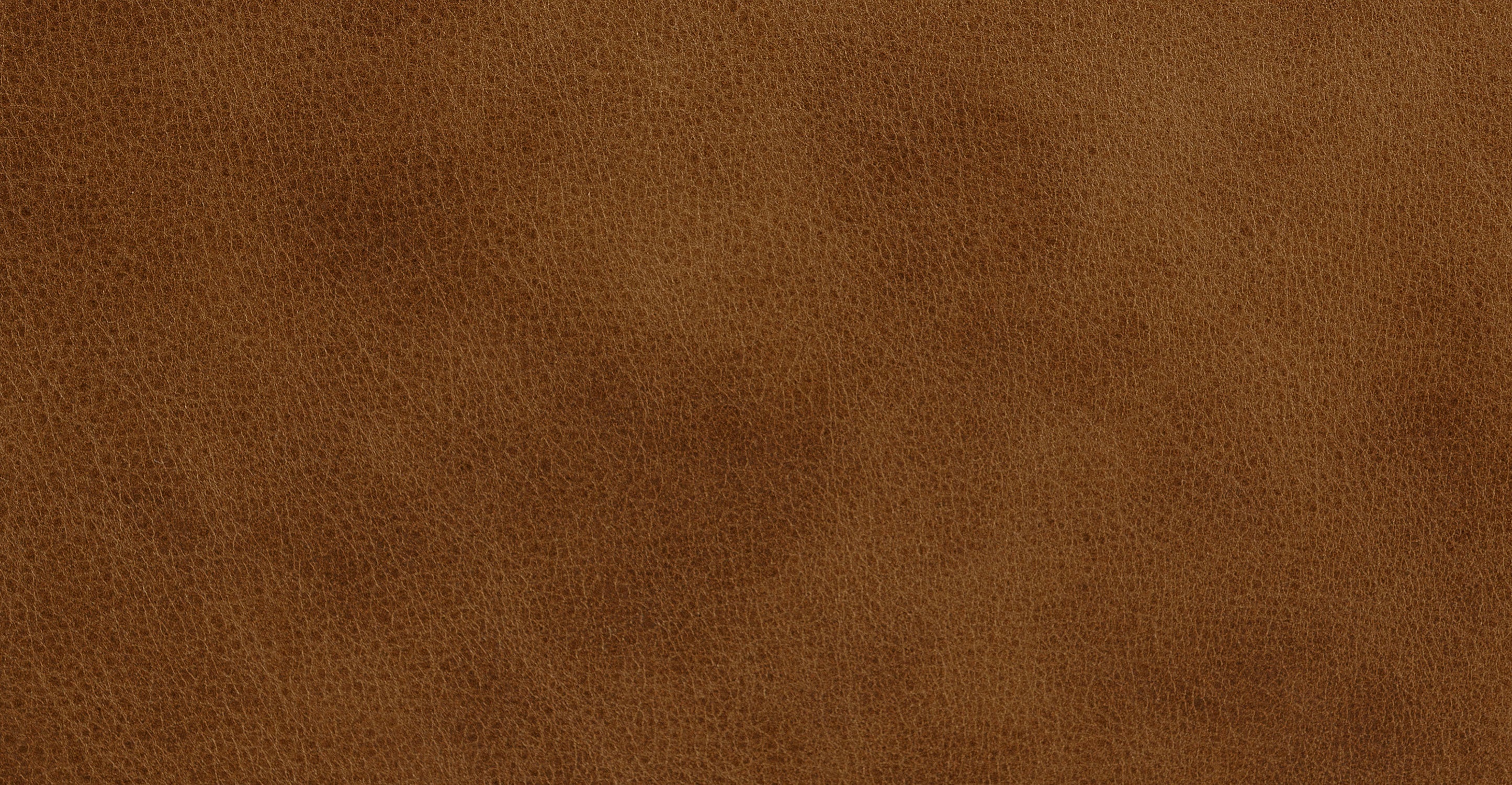 Essex 86 Leather Pull-Out Convertible Sleeper Sofa