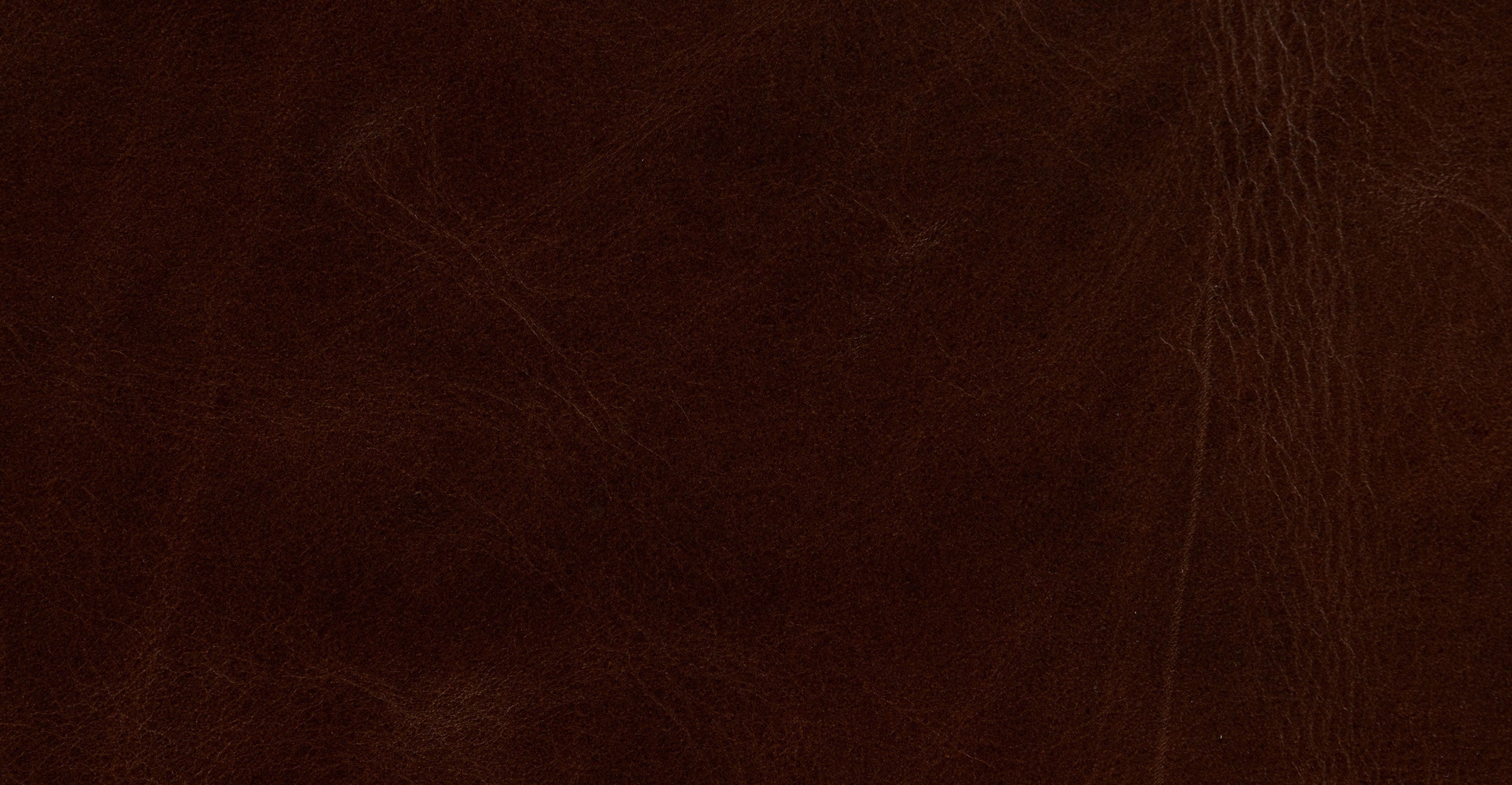 Napa Right-facing Pull-Out Sleeper Sectional