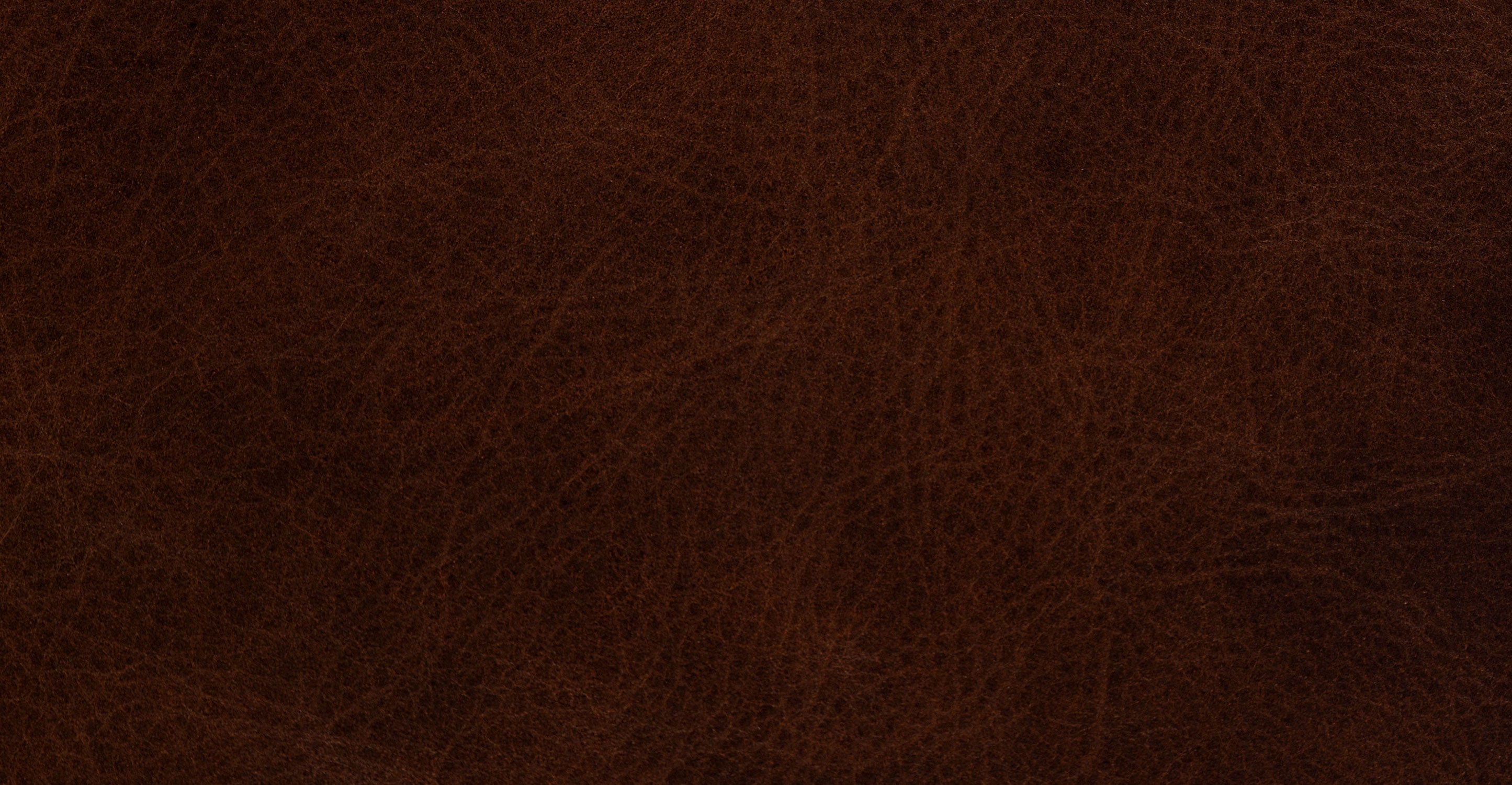 Napa 82 Leather Pull-Out Convertible Sleeper Sofa