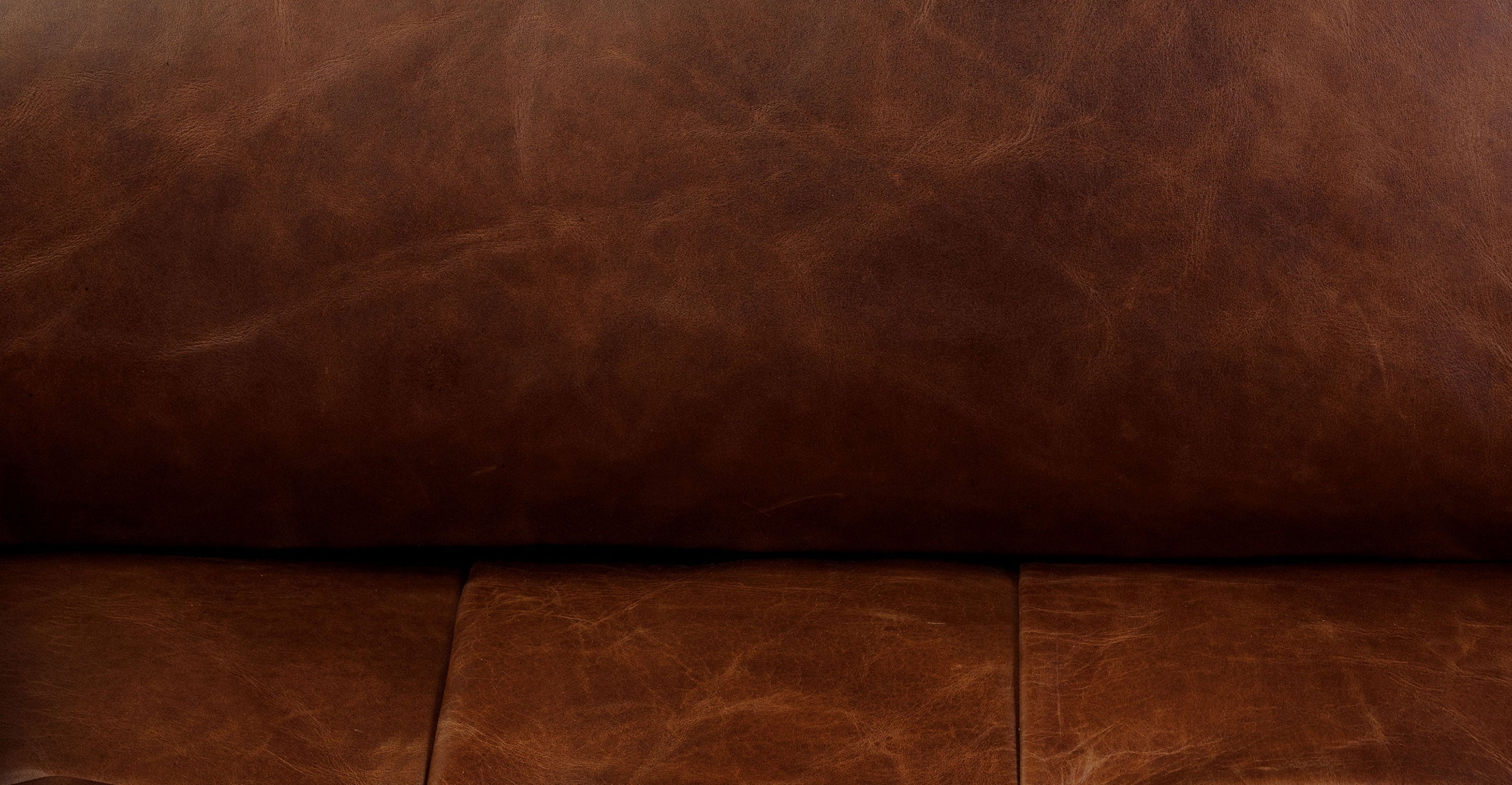 Napa 82 Leather Pull-Out Convertible Sleeper Sofa