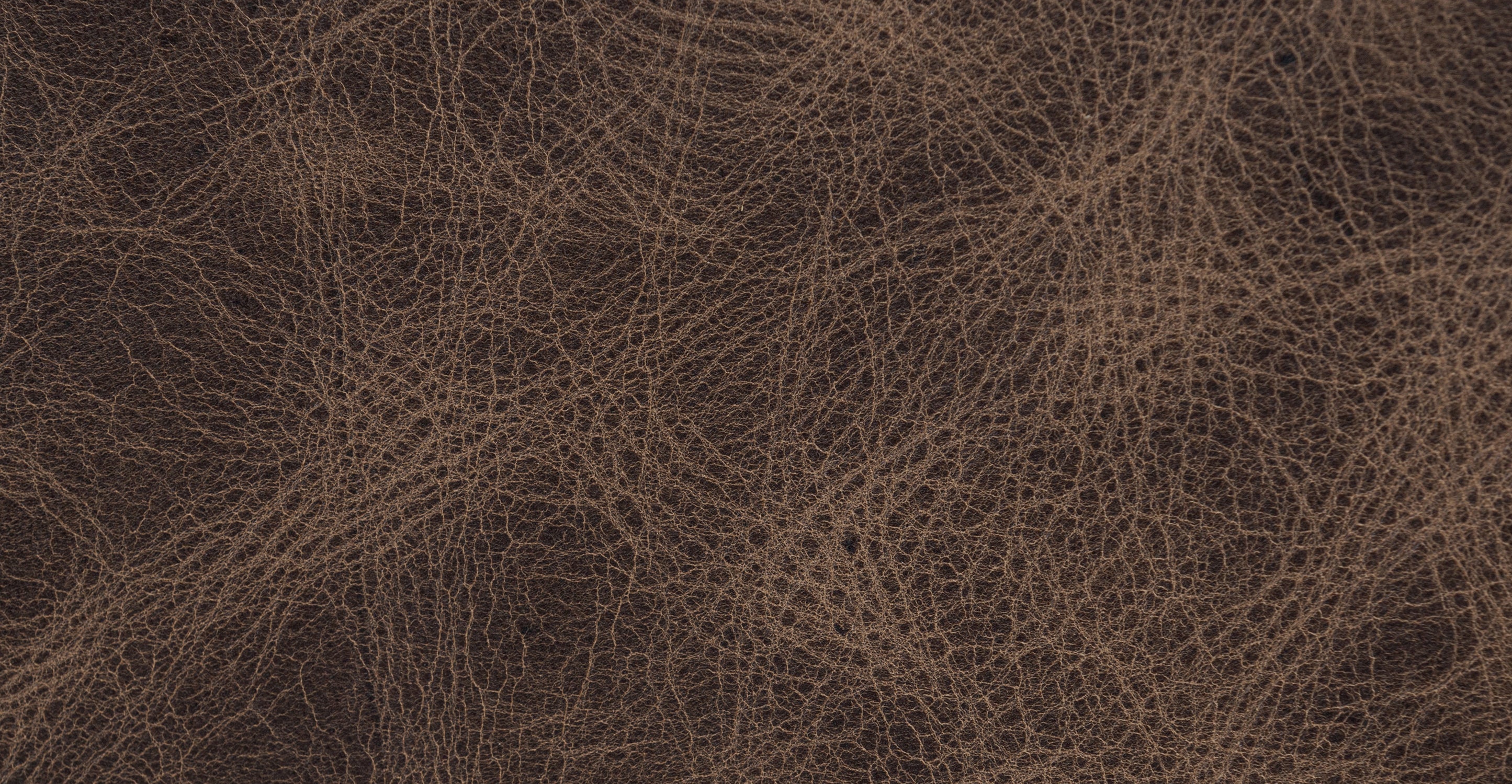 Sorrento Leather Pull-Out Convertible Sleeper Sofa