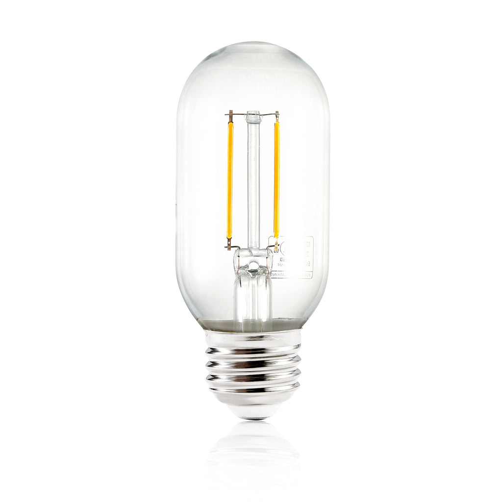 Kashan T14 Clear LED Filament Light Bulb