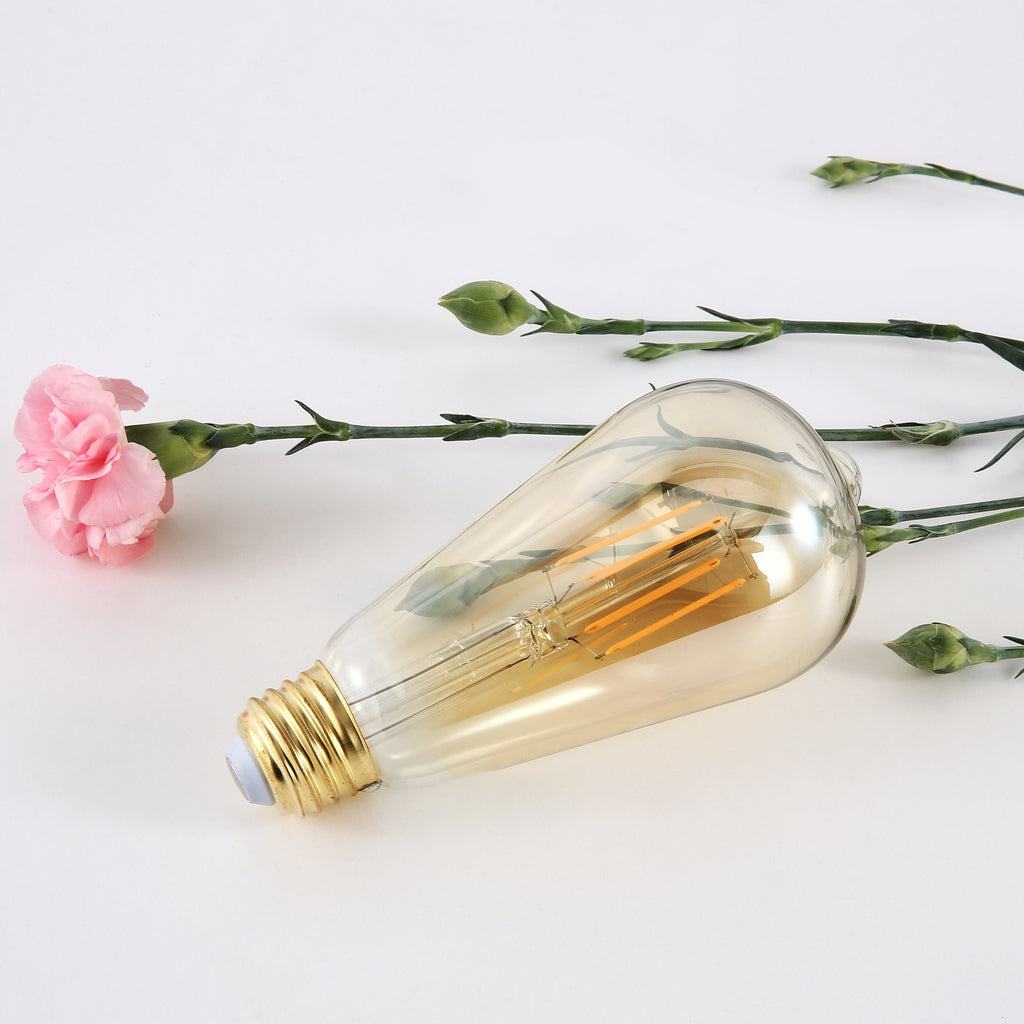 Holland ST21 Amber LED Vintage Filament Light Bulb