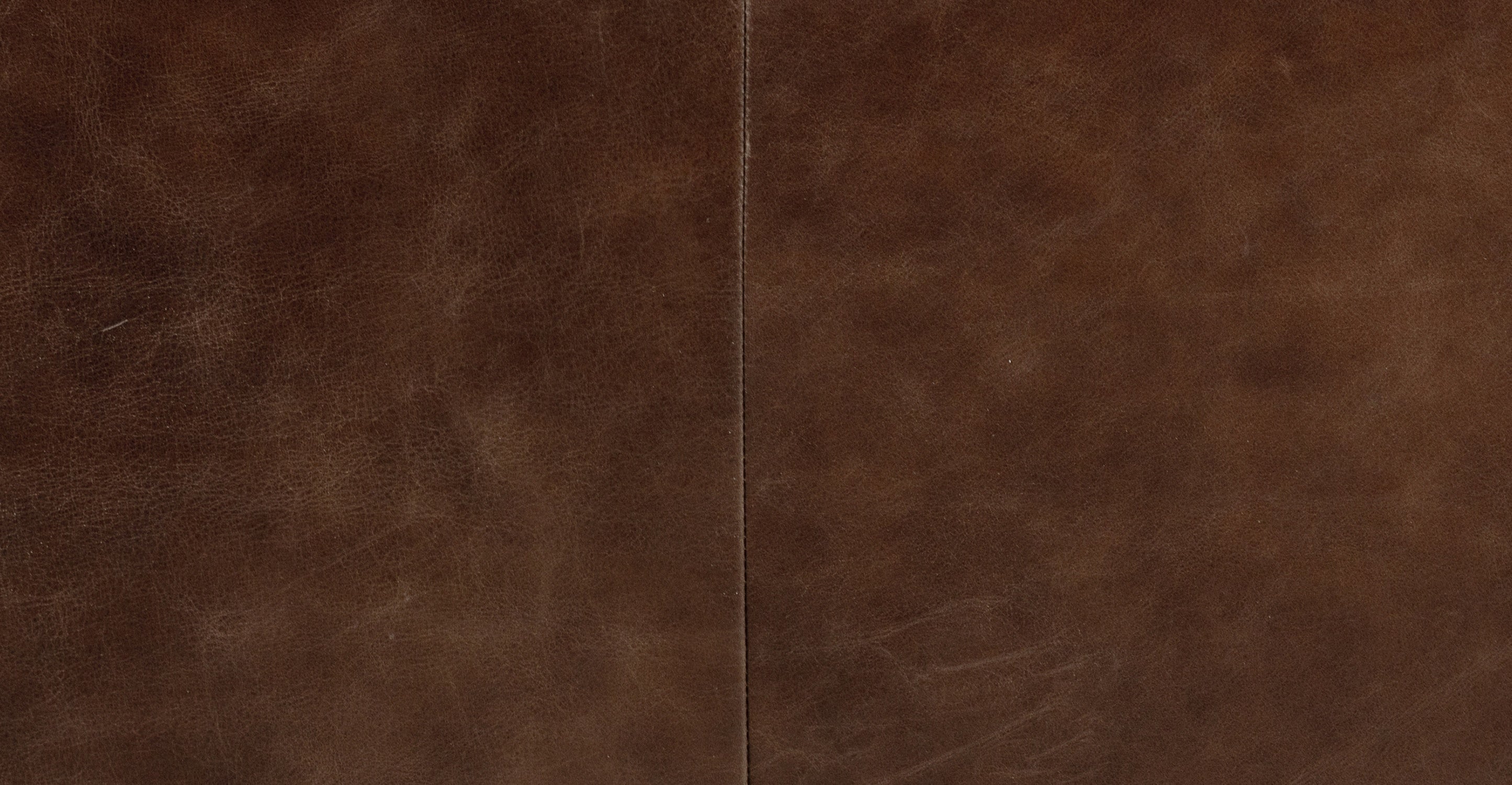 Mateo Leather Lounge Chair