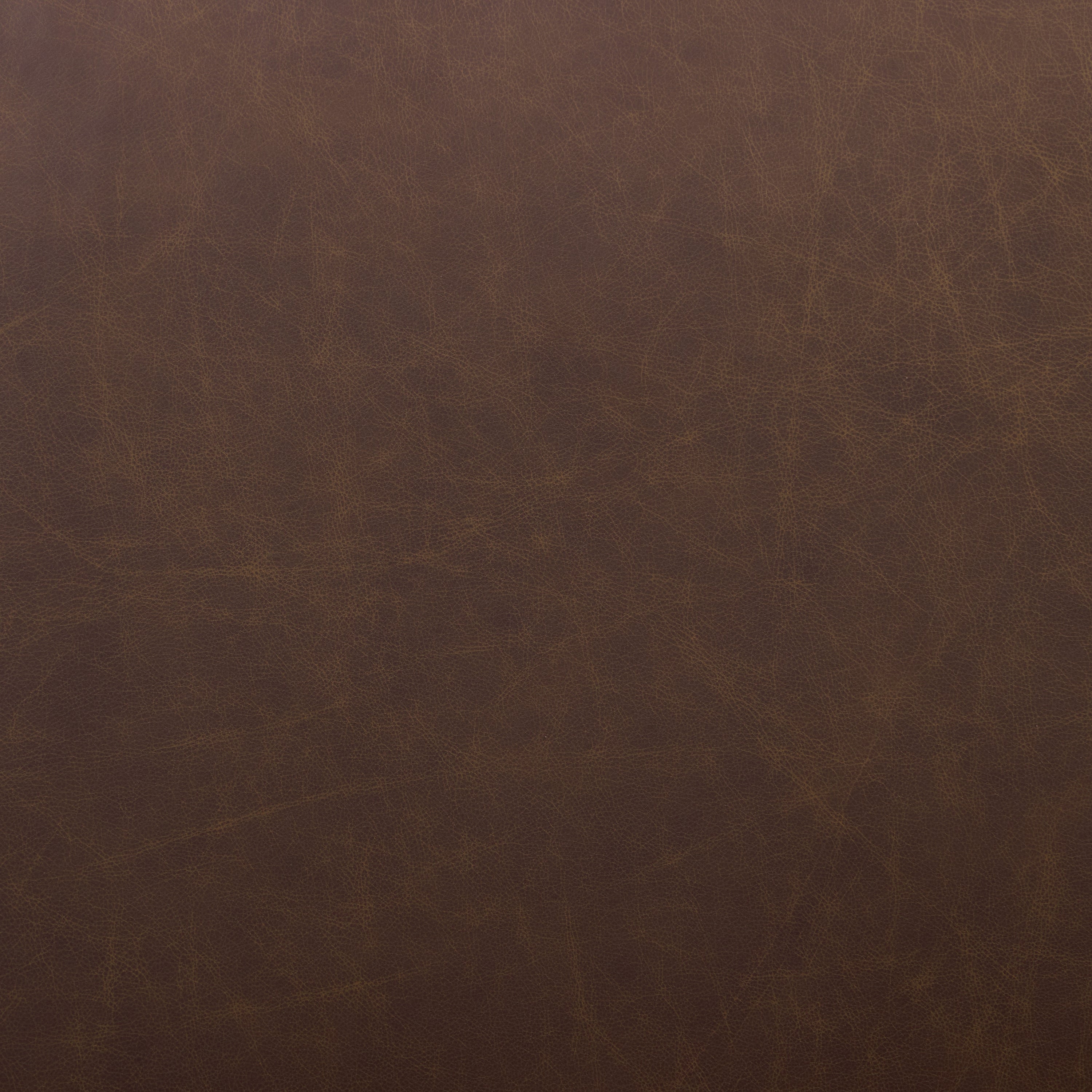 Italian Tanned Leather Swatches