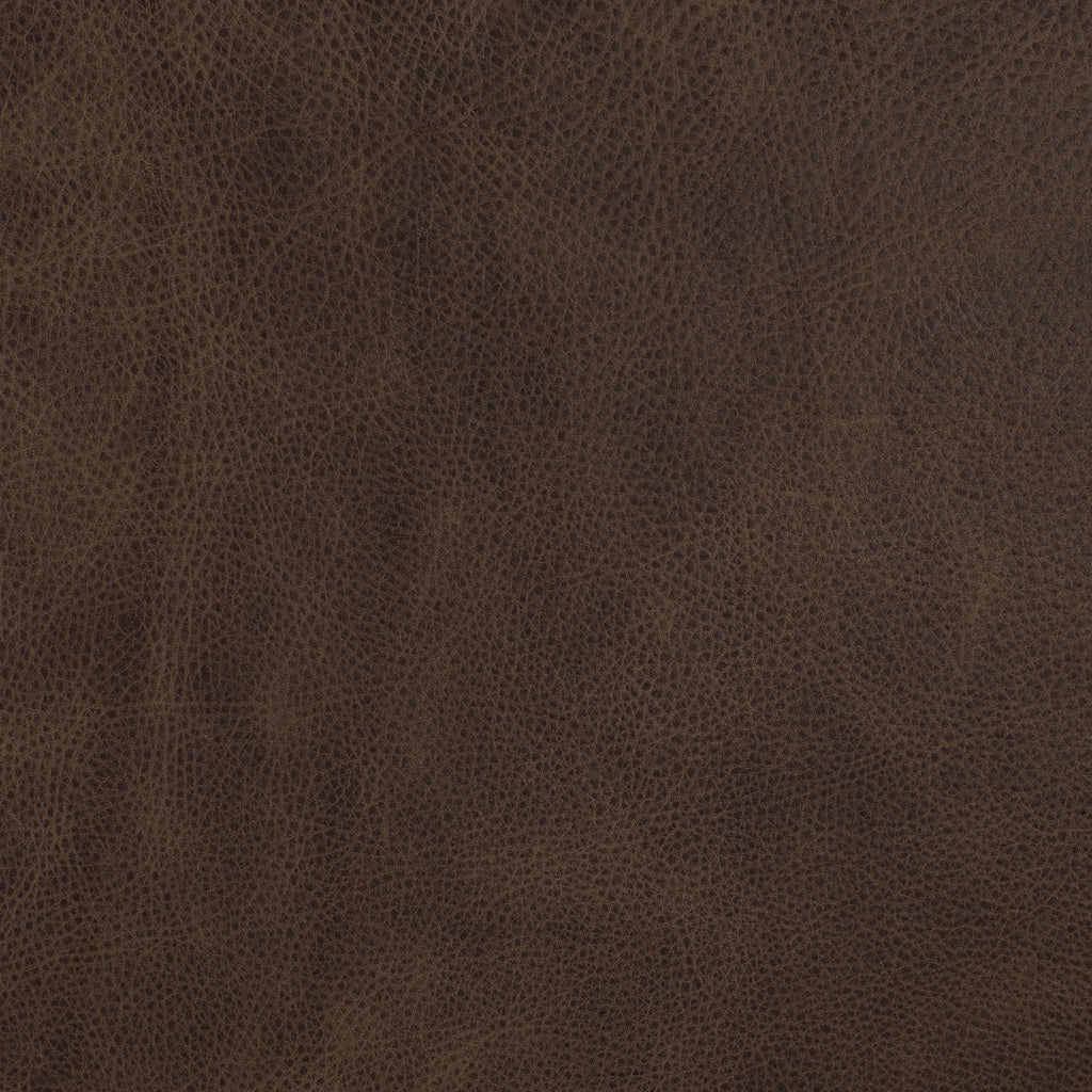 Italian Tanned Leather Swatches