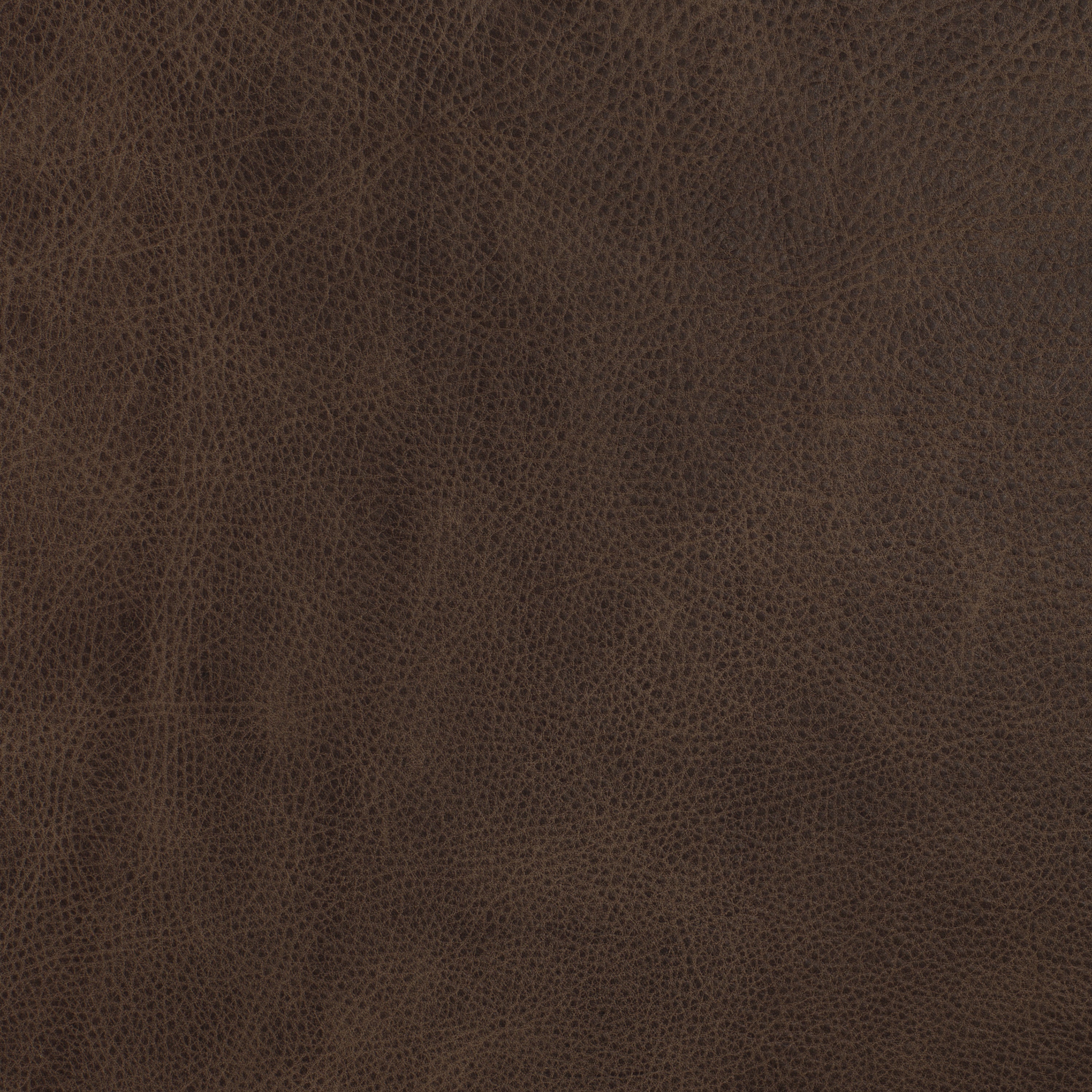 Italian Tanned Leather Swatches