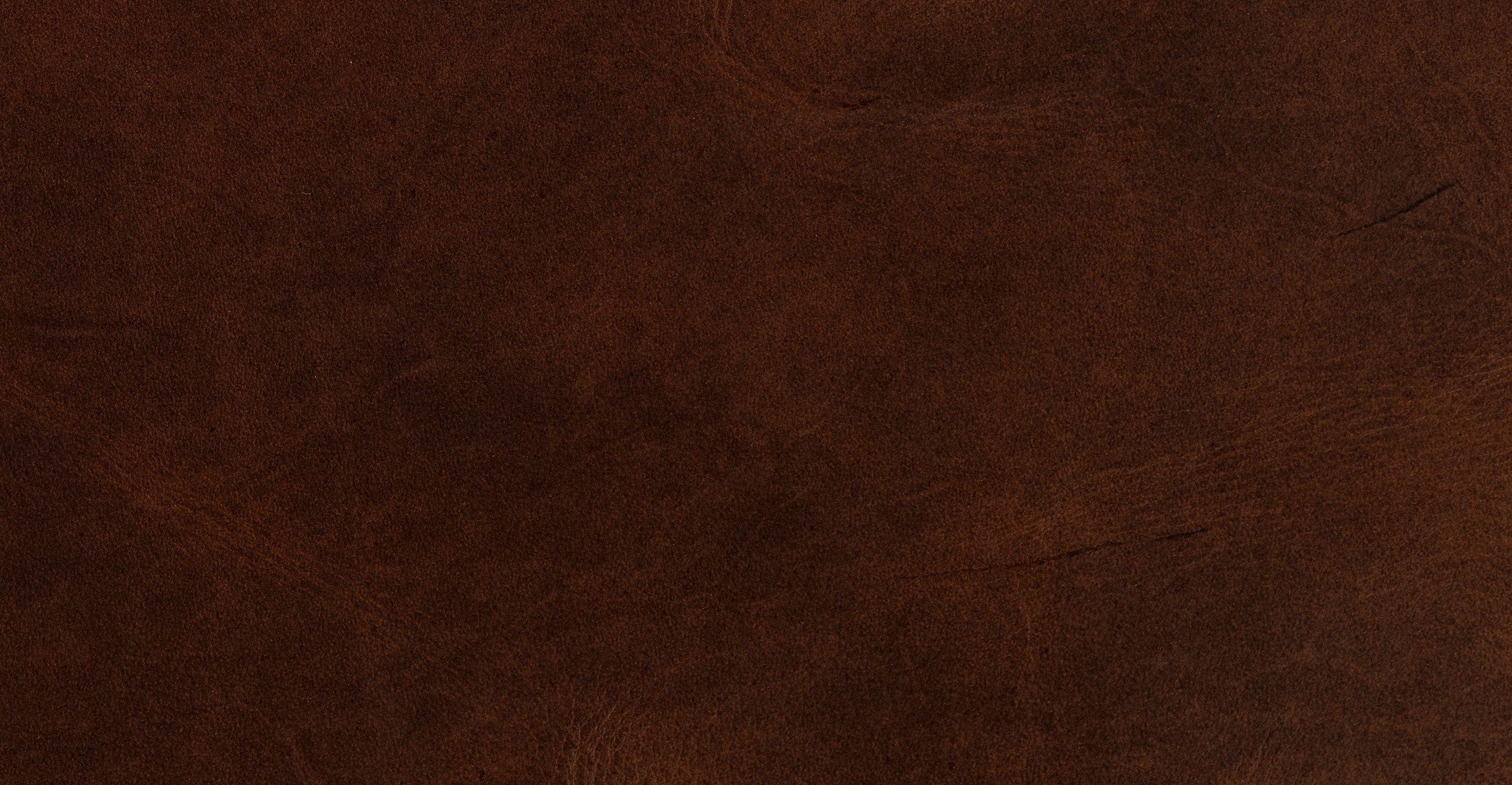 Biltmore Leather Pull-Out Convertible Sleeper Sofa