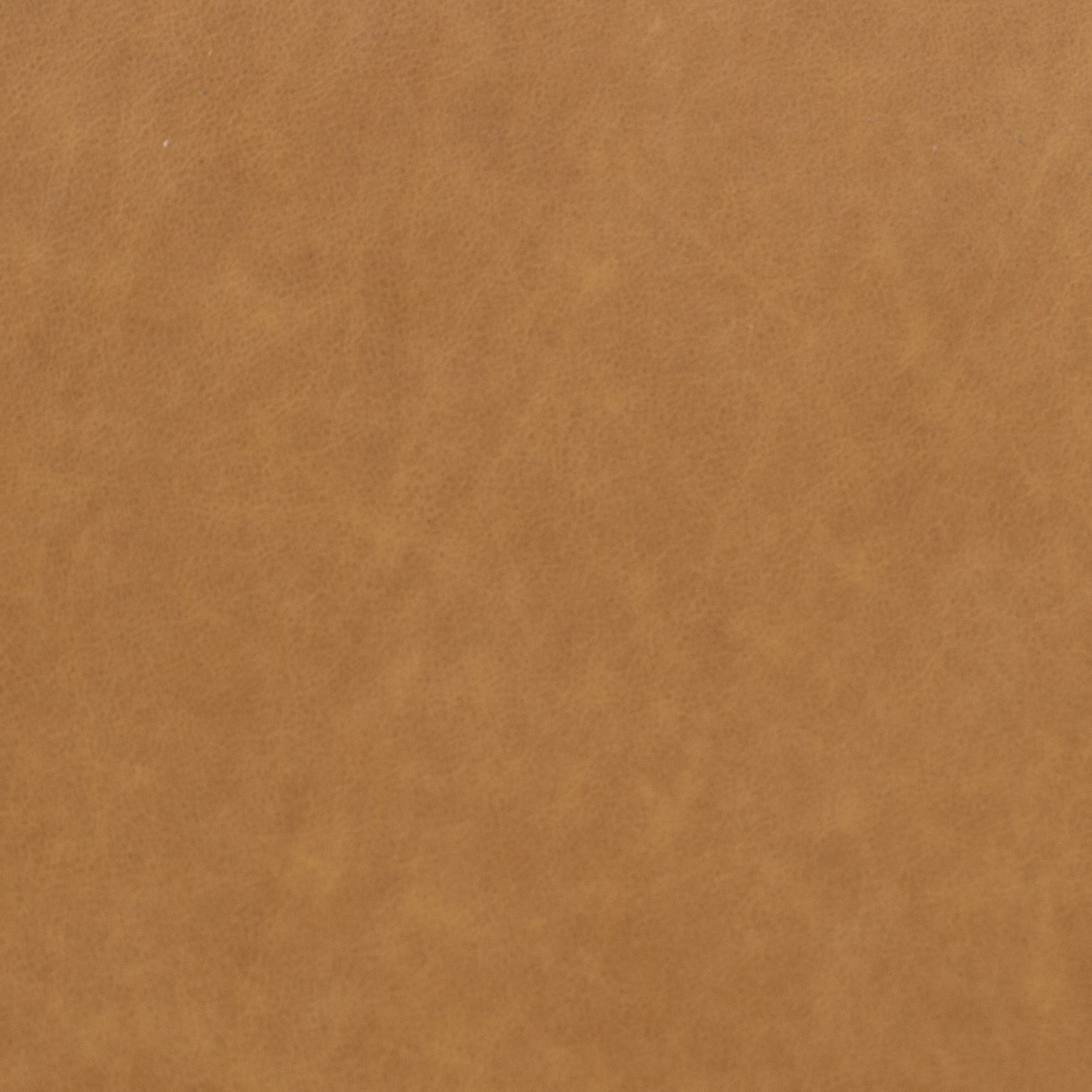 Italian Tanned Leather Swatches
